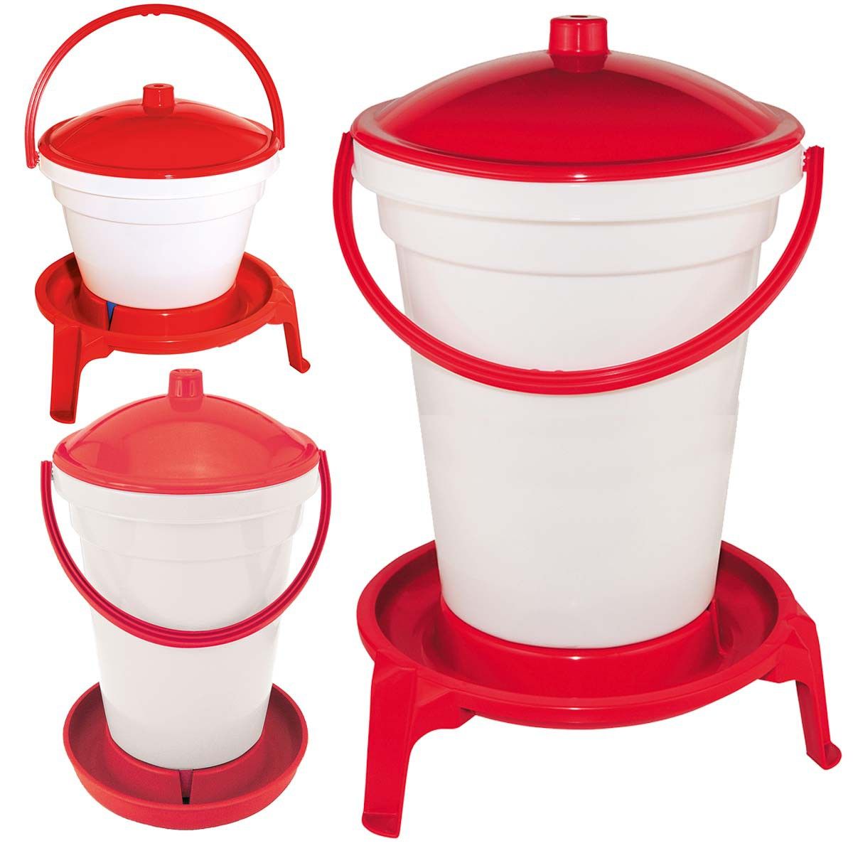 Waterer for poultry