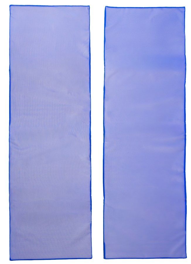 Kerbl Lot de 2 tapis de désinfection pour camions, 400x120 cm, kit