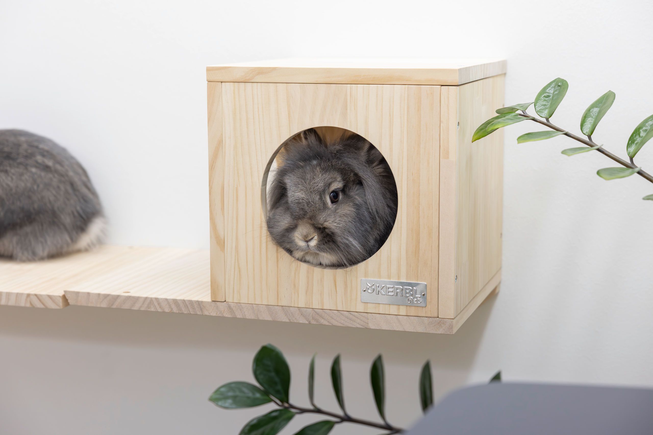 Kerbl Kleintier Wand-Parkour Sidewalk 3-teilig aus Vollholz