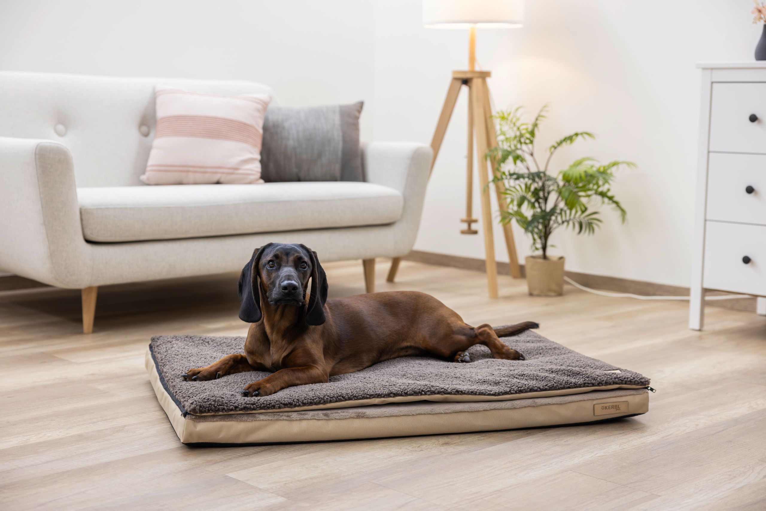 dog bed, pet bed, rectangular, cushioned, brown rug