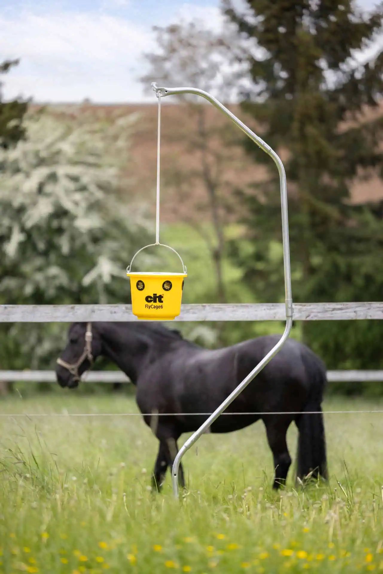 cit Fly Trap FlyCage6 for Pasture and Garden incl. Attractant, in use, in the paddock