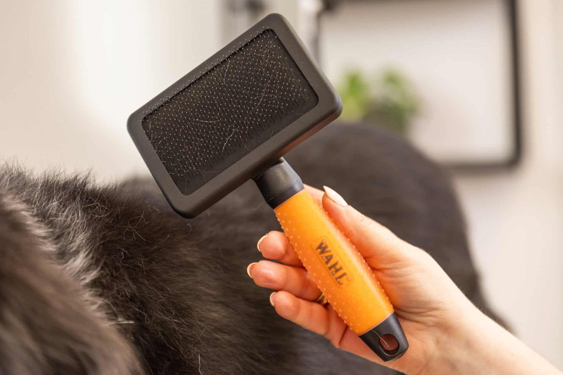 Wahl Brosse carde en nylon pour chiens, orange, soin doux, en utilisation