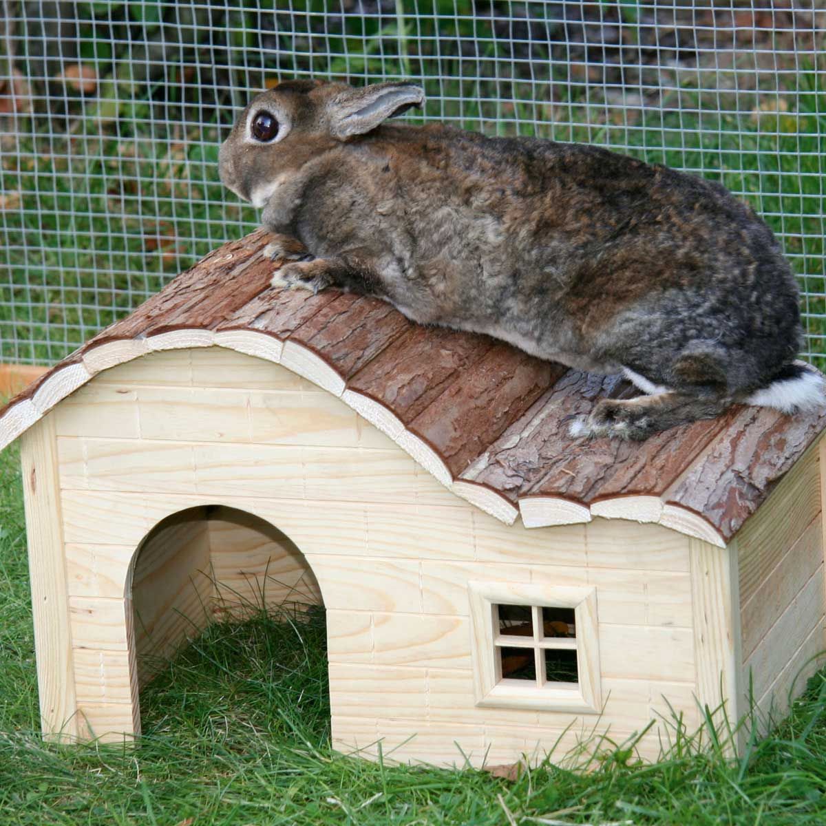 Kerbl NATURE House with Curved Roof 30 x 20 x 20 cm, in use