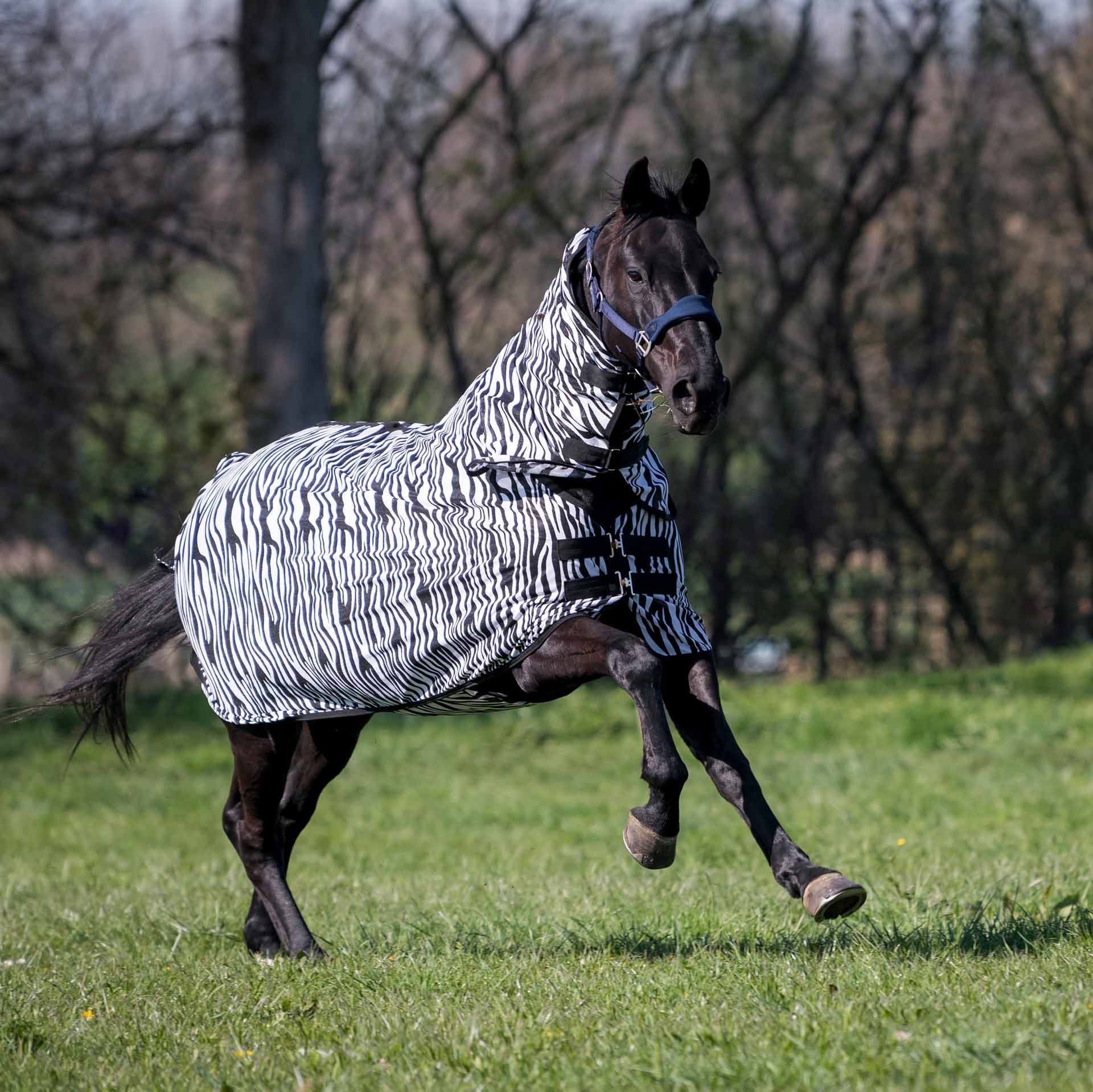 BUSSE Kültéri légyszőnyeg COMFORT PRO ZEBRA 115 zebra