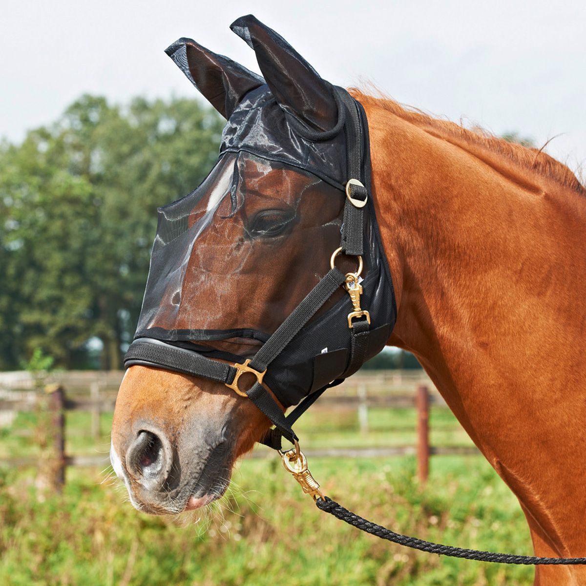 BUSSE Fly Mask Fly Guard Plus FULL