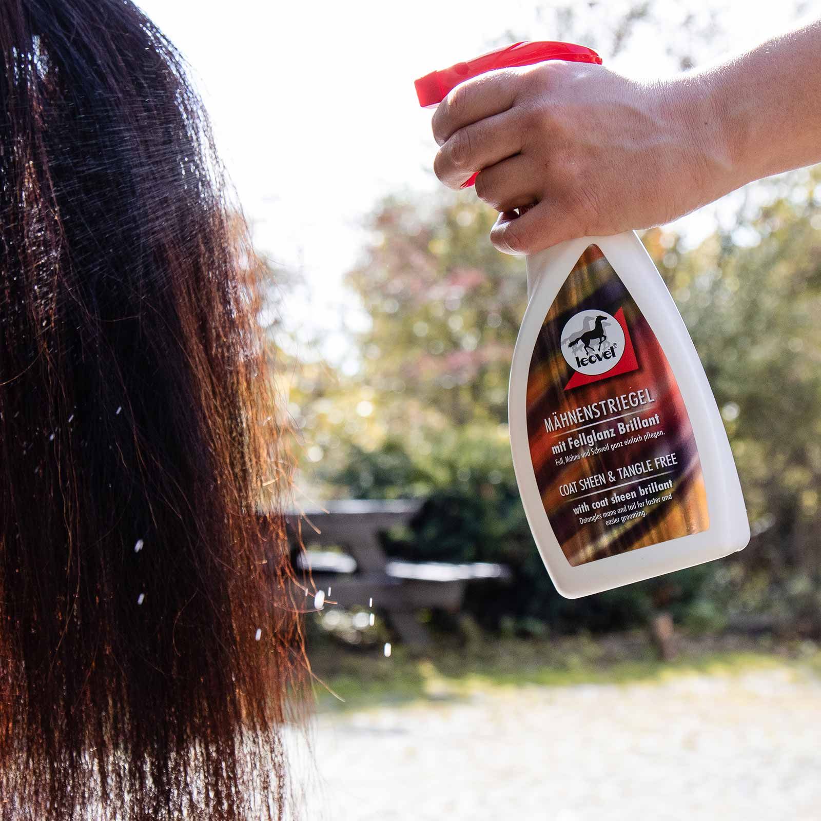 Leovet Mähnenstriegel Mähnenspray mit Zedernholzöl, 550 ml, im Einsatz