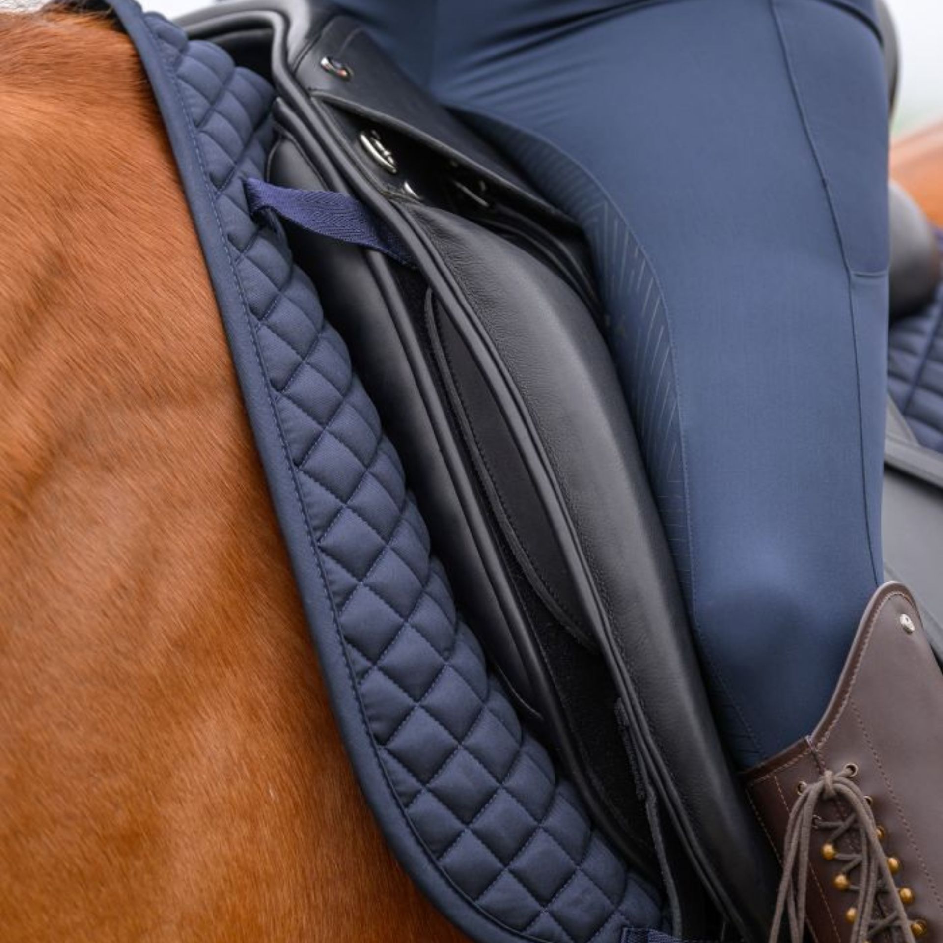 saddle, stirrups, horse, stunning, leather