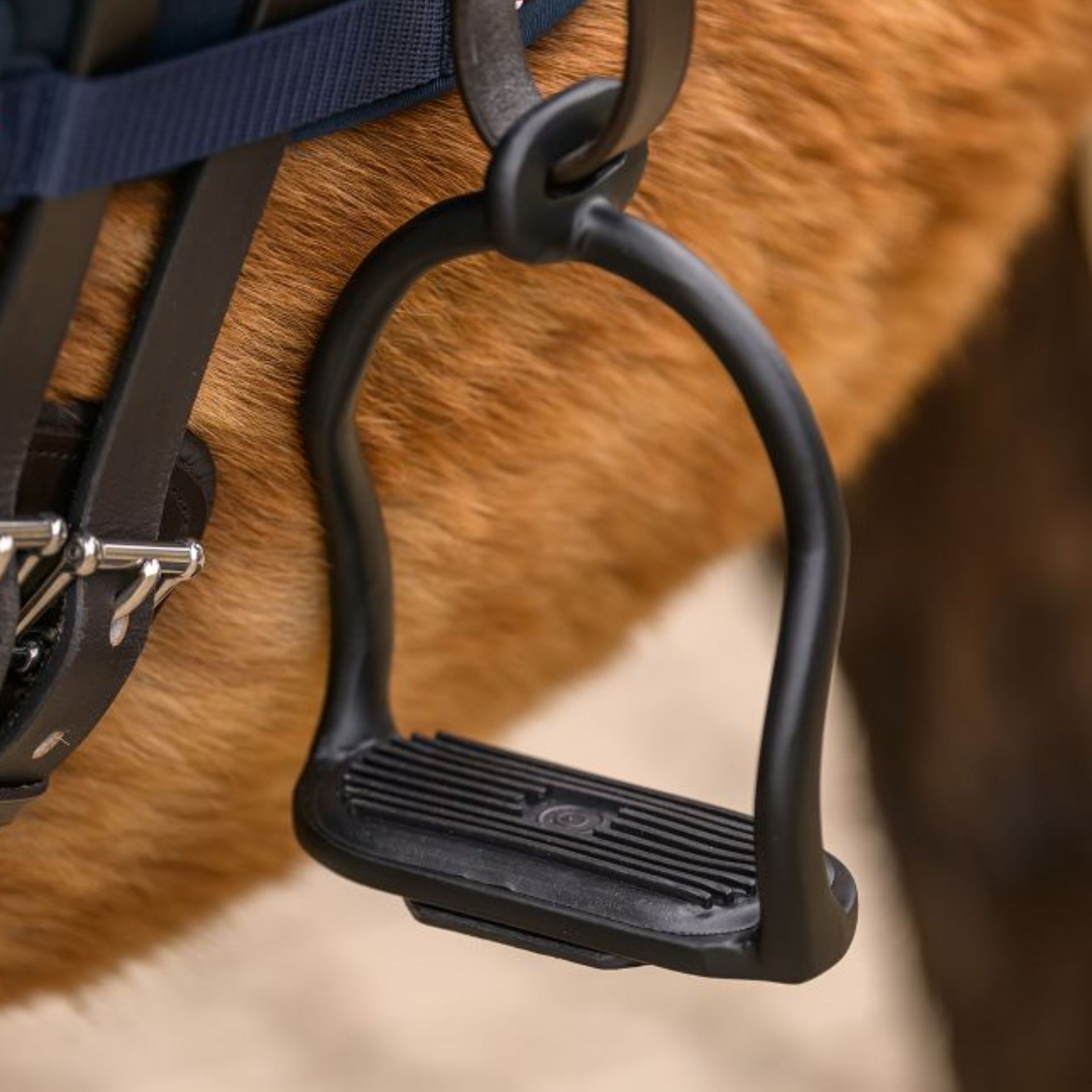 stirrup, horse tack, black, metal, pedal