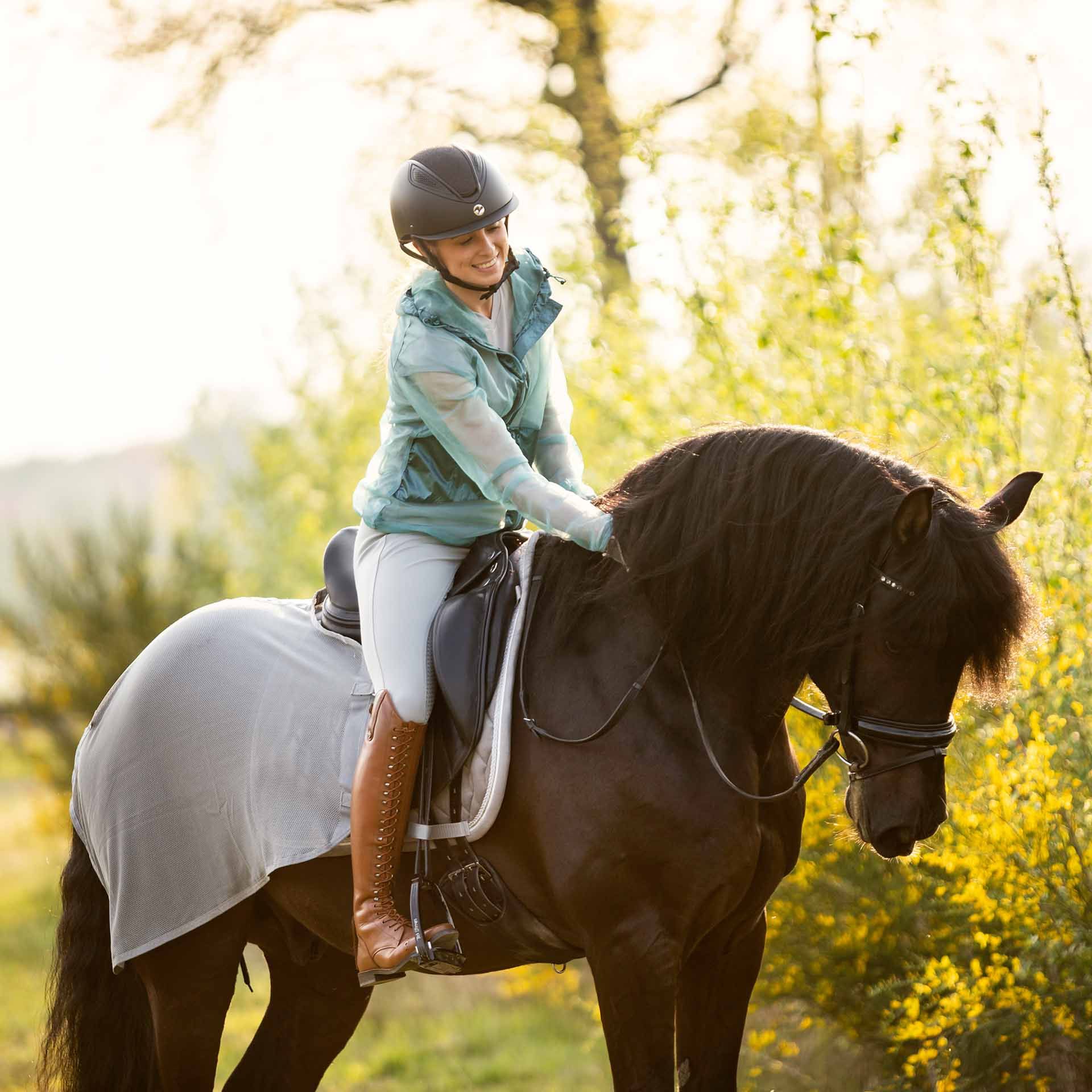 BUSSE Quarter Sheet FLY, Fly Protection Training Rug for Horses, in use