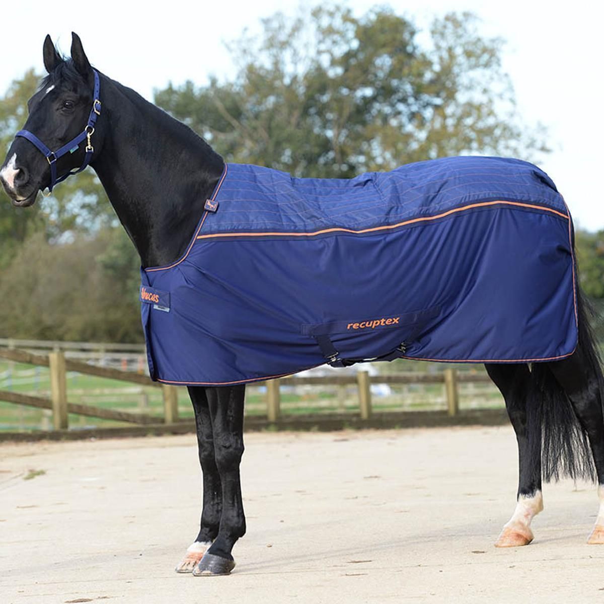 Bucas Therapy Cooler 125