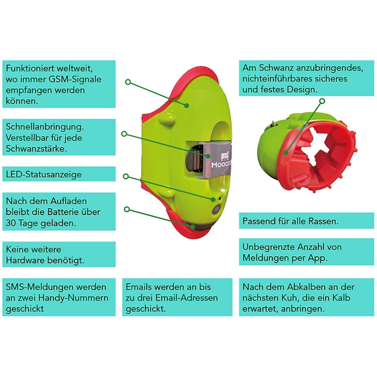 Kerbl MooCall Calving Sensor for Cows, GSM Alert System, infographic