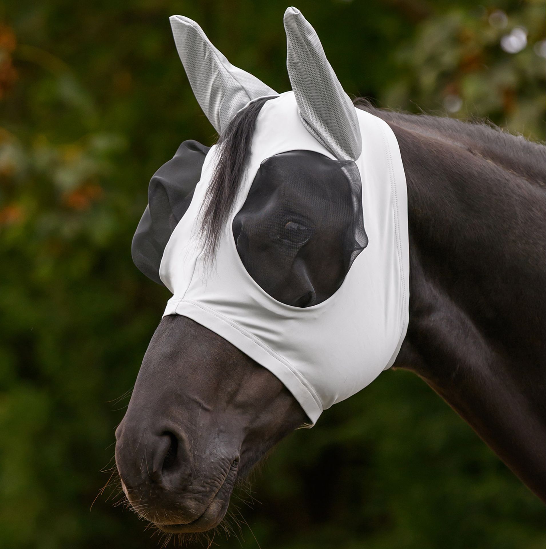 horse hood, fly mask, equestrian, black horse, white mask