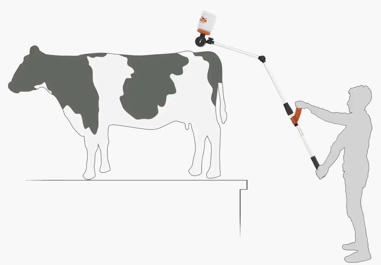 Applicateur Kerbl Tailpainter pour peinture de détection des chaleurs, exemple d'application
