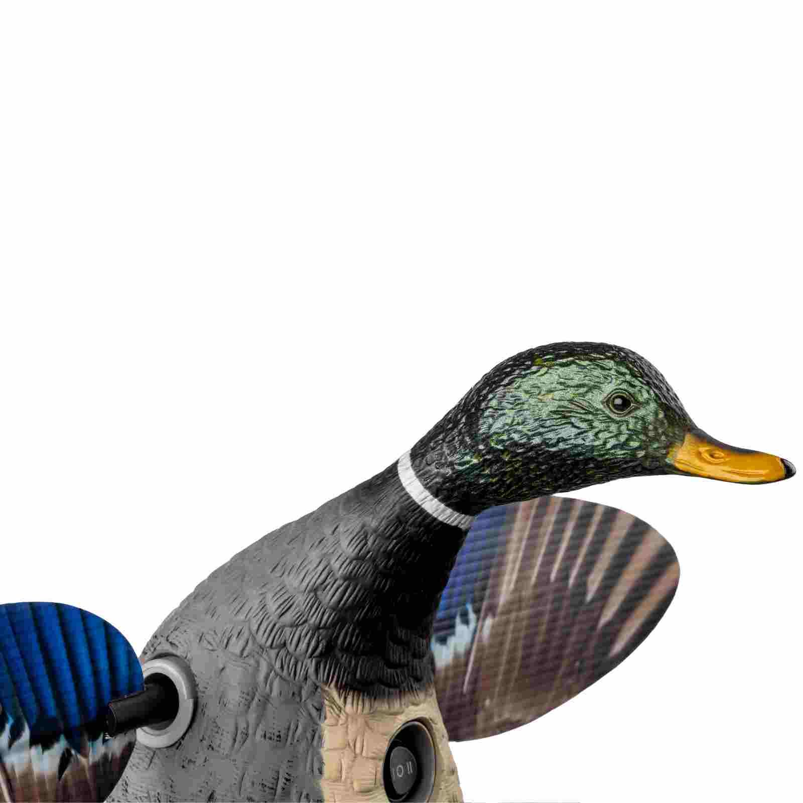 Mojo Elite Series Floater Mallard Esca motorizzata galleggiante germano con ali rotanti, dettaglio
