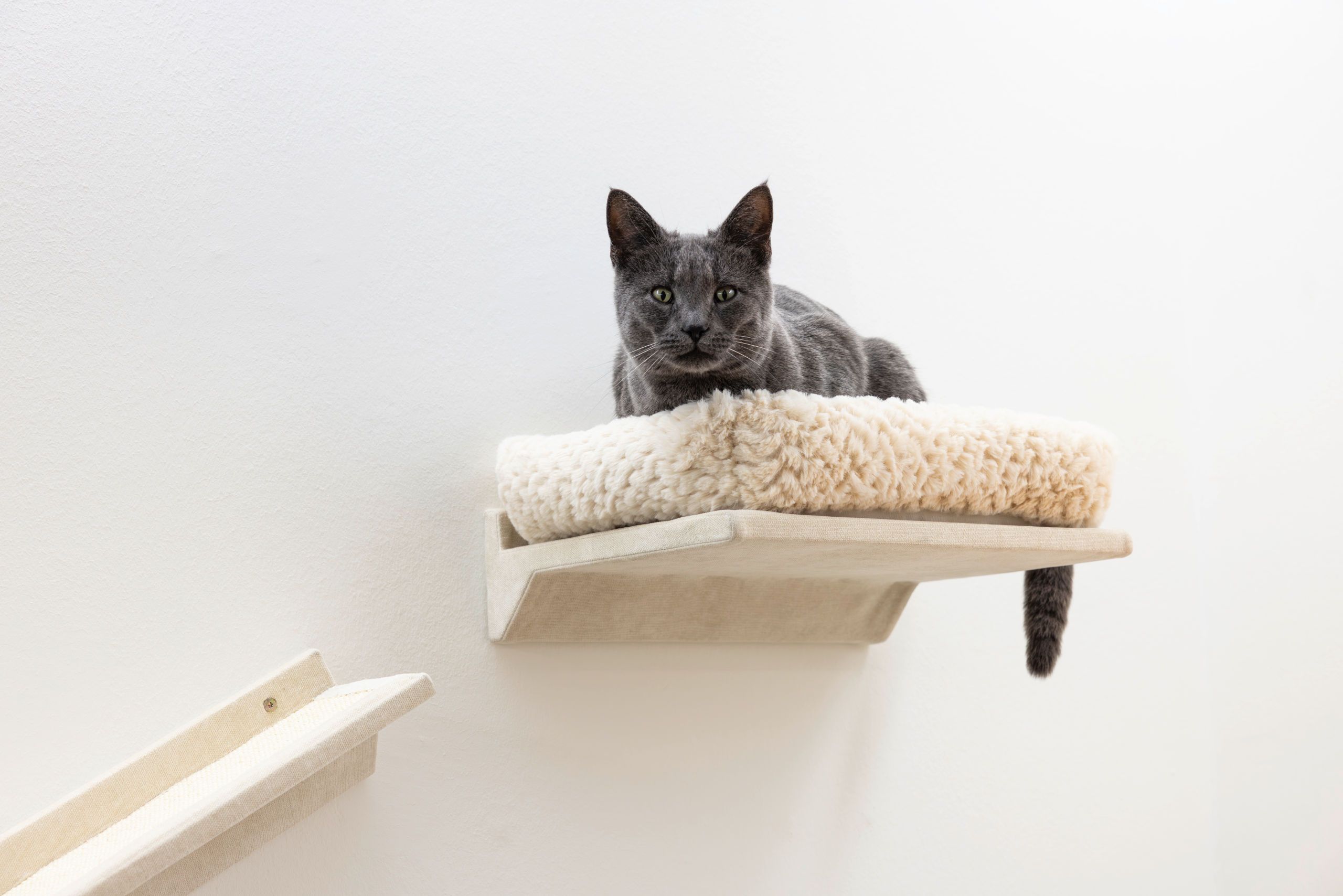 Kerbl Katzen-Kletterwand Monte Prado 6-teilig, beige