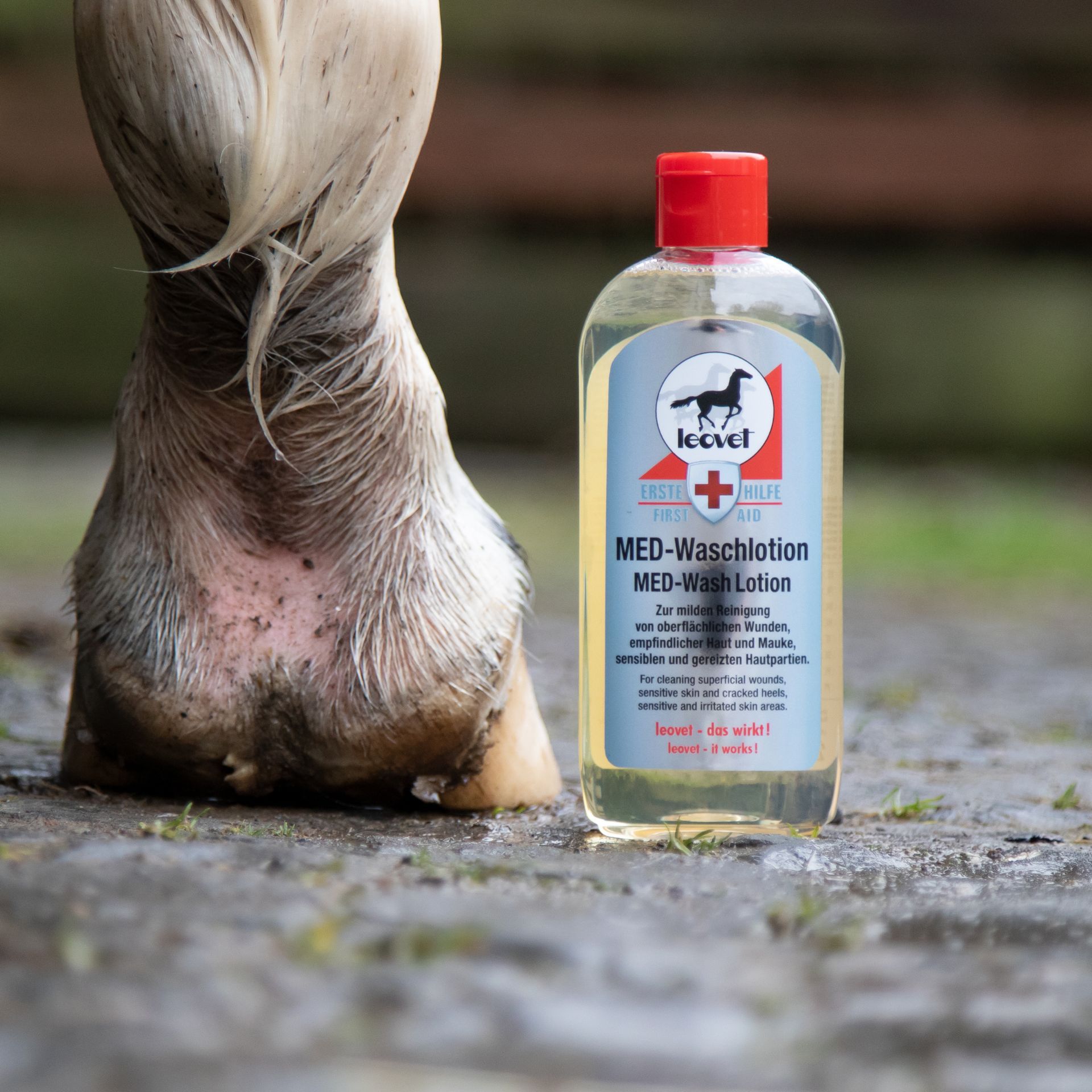 horse, hoof, wash, lotion, first aid