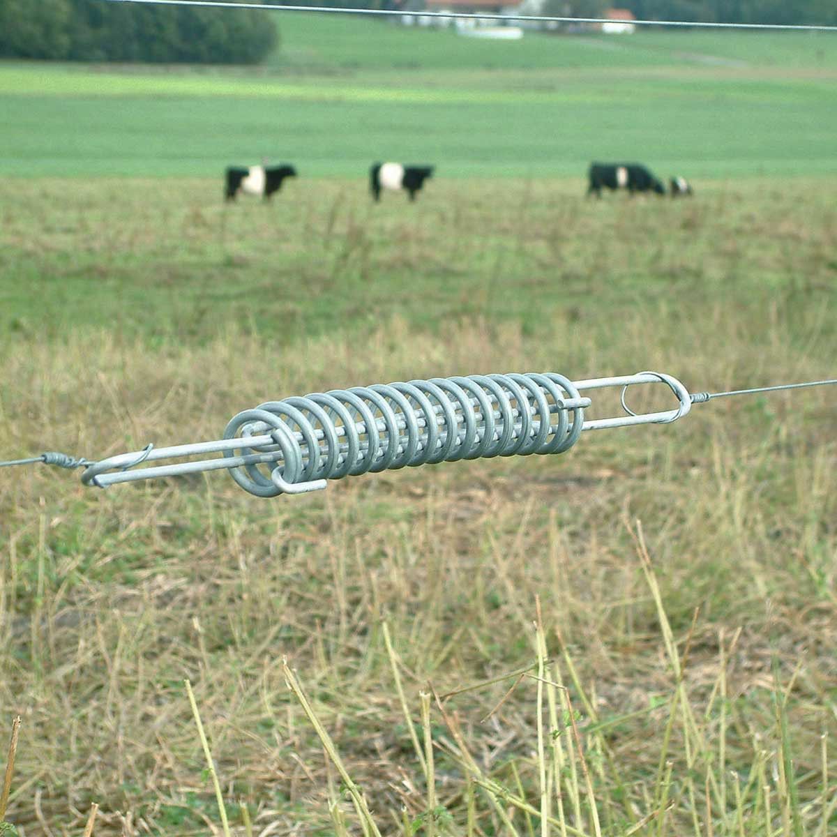 Temperature equalisation spring