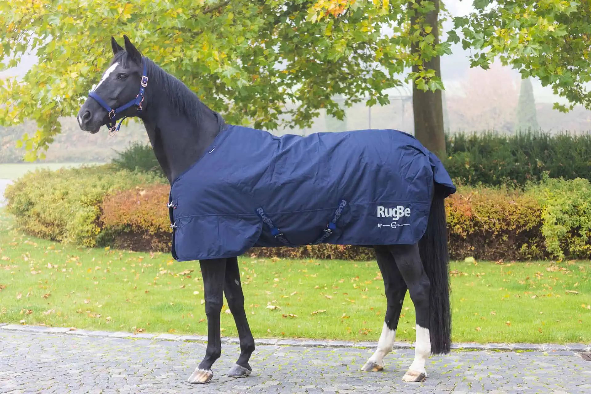 Covalliero RugBe IceProtect Vinterfilt häst 300g dark navy, sidovy