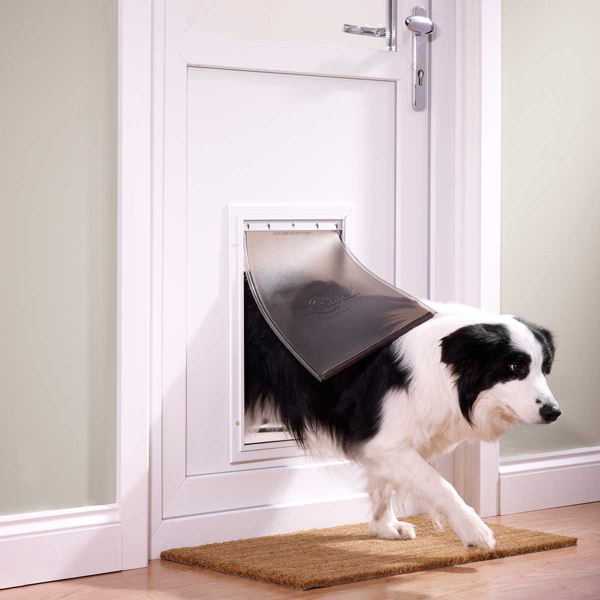 PetSafe Hundeklappe Staywell 640 Aluminium, bis 45 kg, im Einsatz