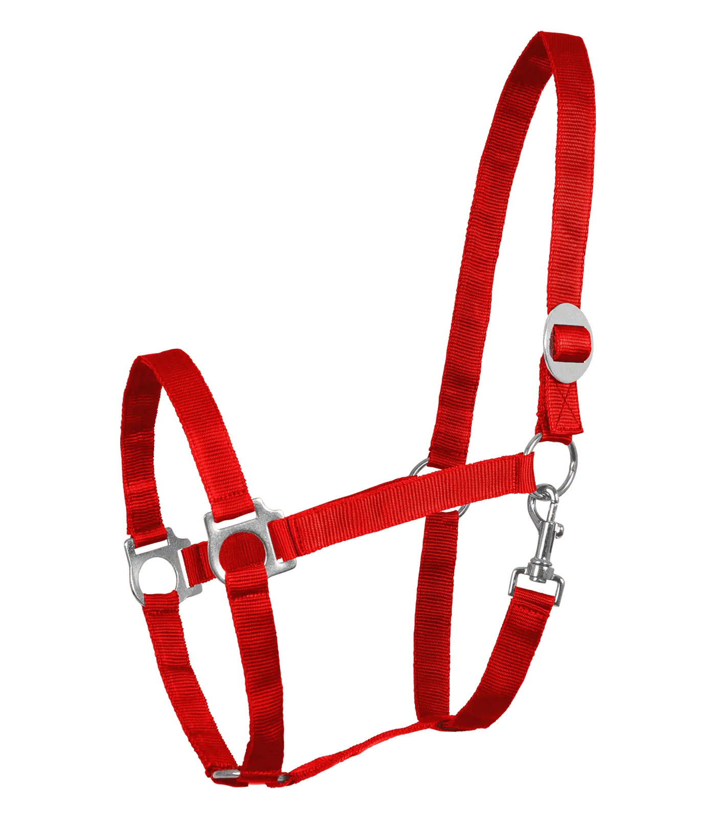 Licol Perlon Waldhausen, noir, licol d'écurie doux avec ferrures, variante de couleur