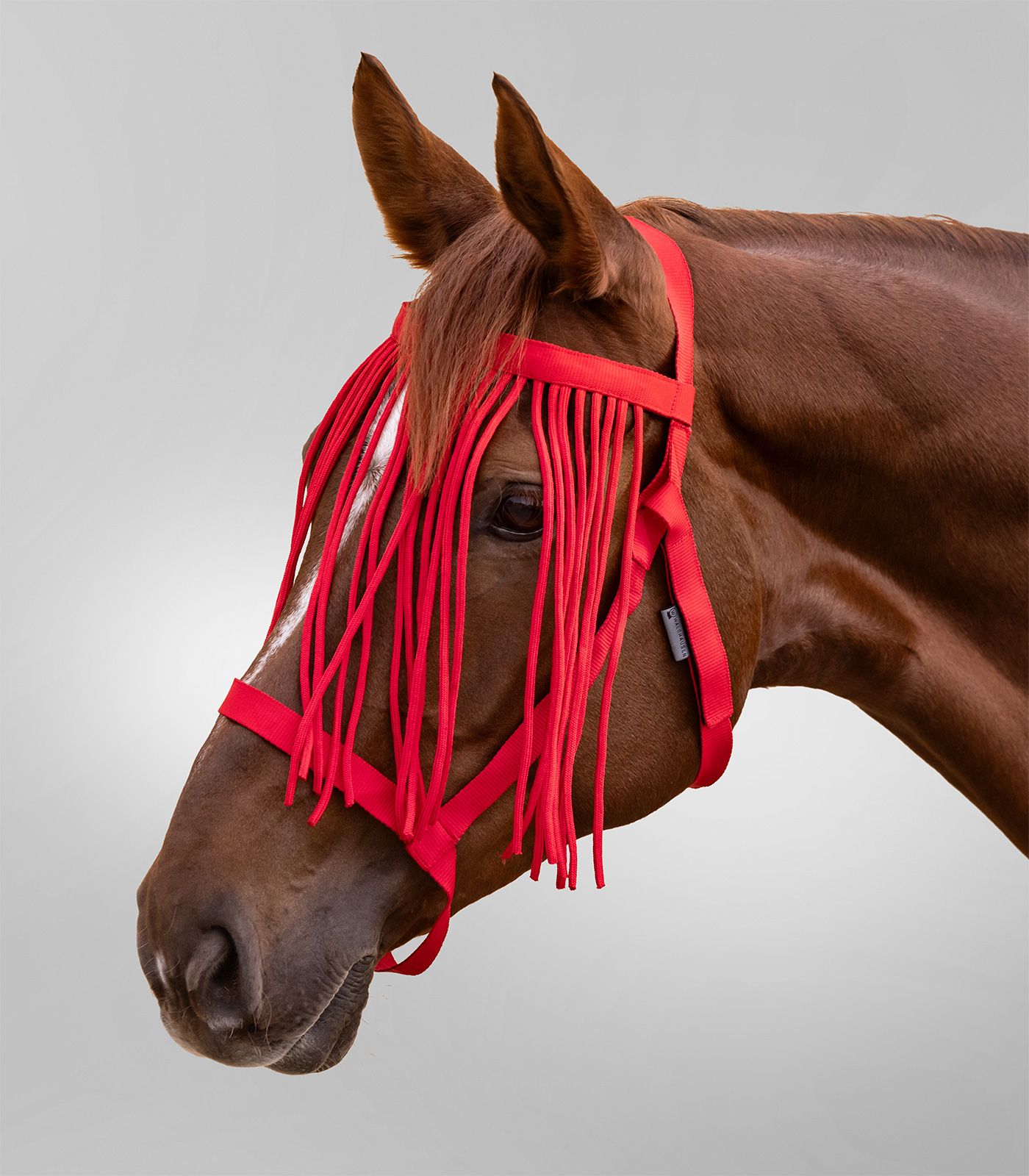 Waldhausen Weidehalfter mit Fliegenfransen rot, COB