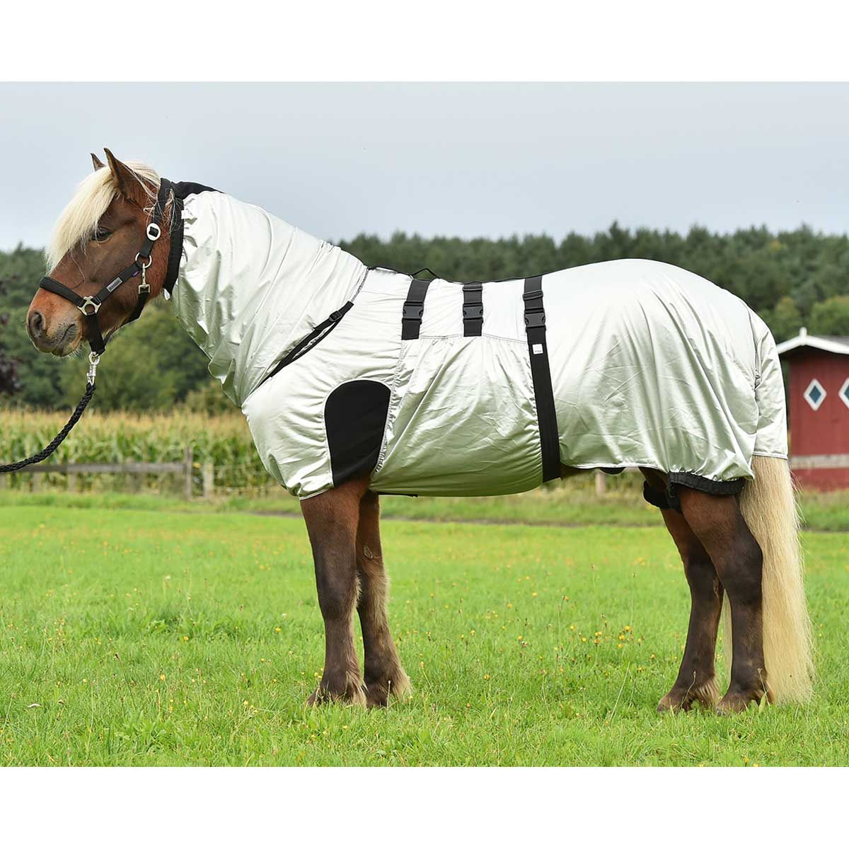 BUSSE Eczema filt STRONG silver 105