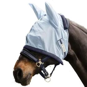 bleu clair/bleu nuit