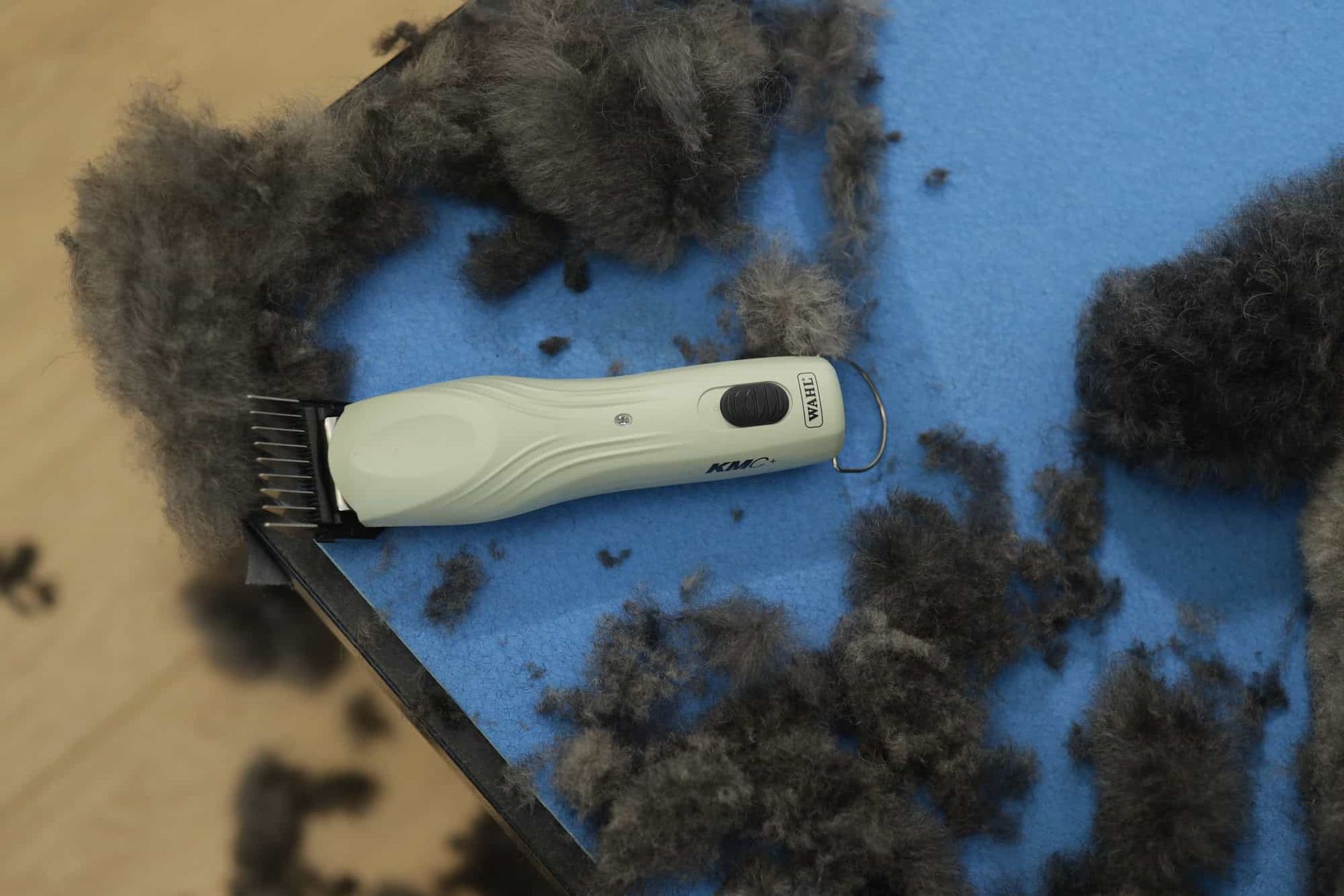 Wahl KMC+ Hunde-Schermaschine Akku, bürstenloser Motor, im Einsatz