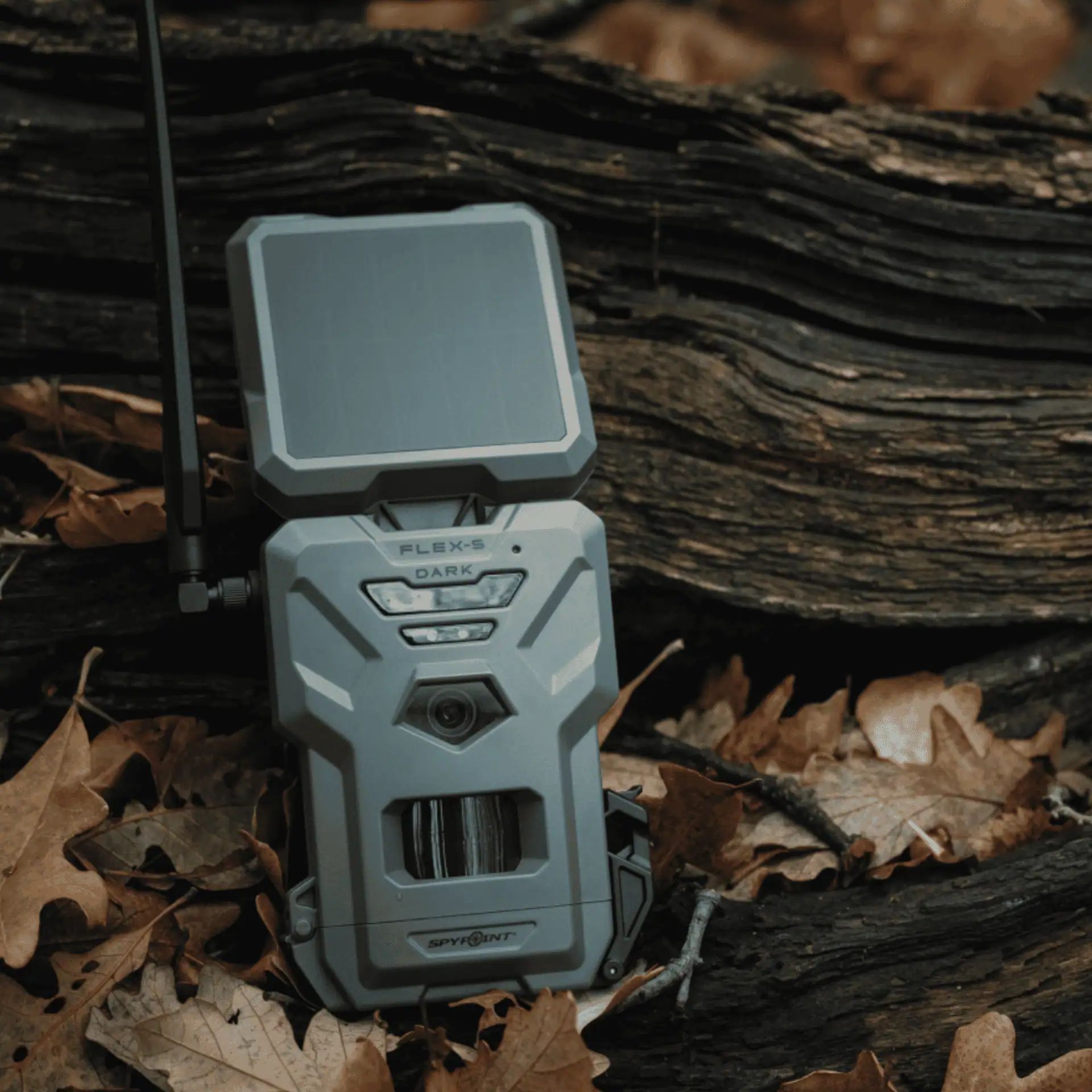 SPYPOINT Wildkamera FLEX-S-DARK, Mobilfunk mit Solarpanel, Symbolbild