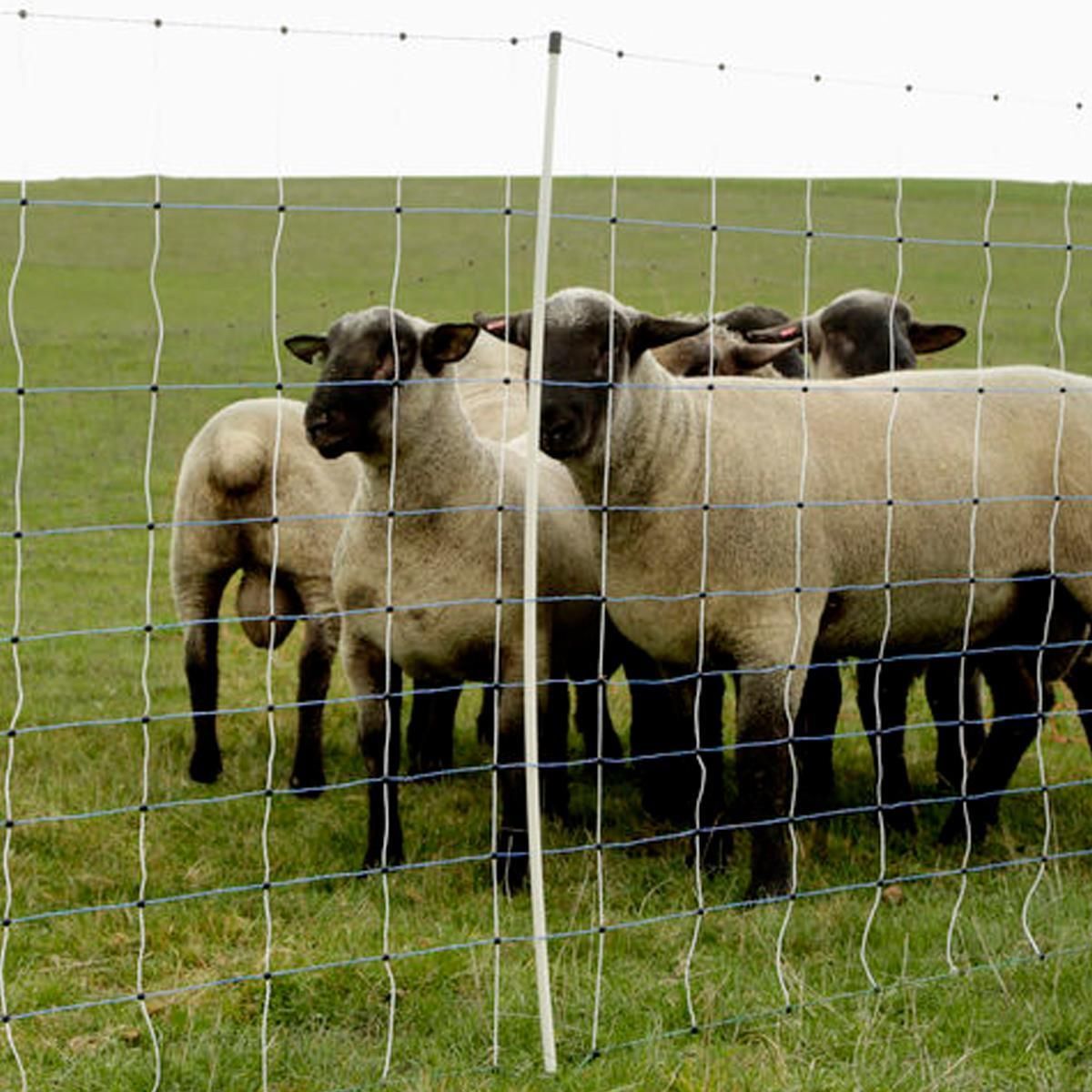 Piquet de rechange WolfNet maxi 122 cm pointe unique blanc