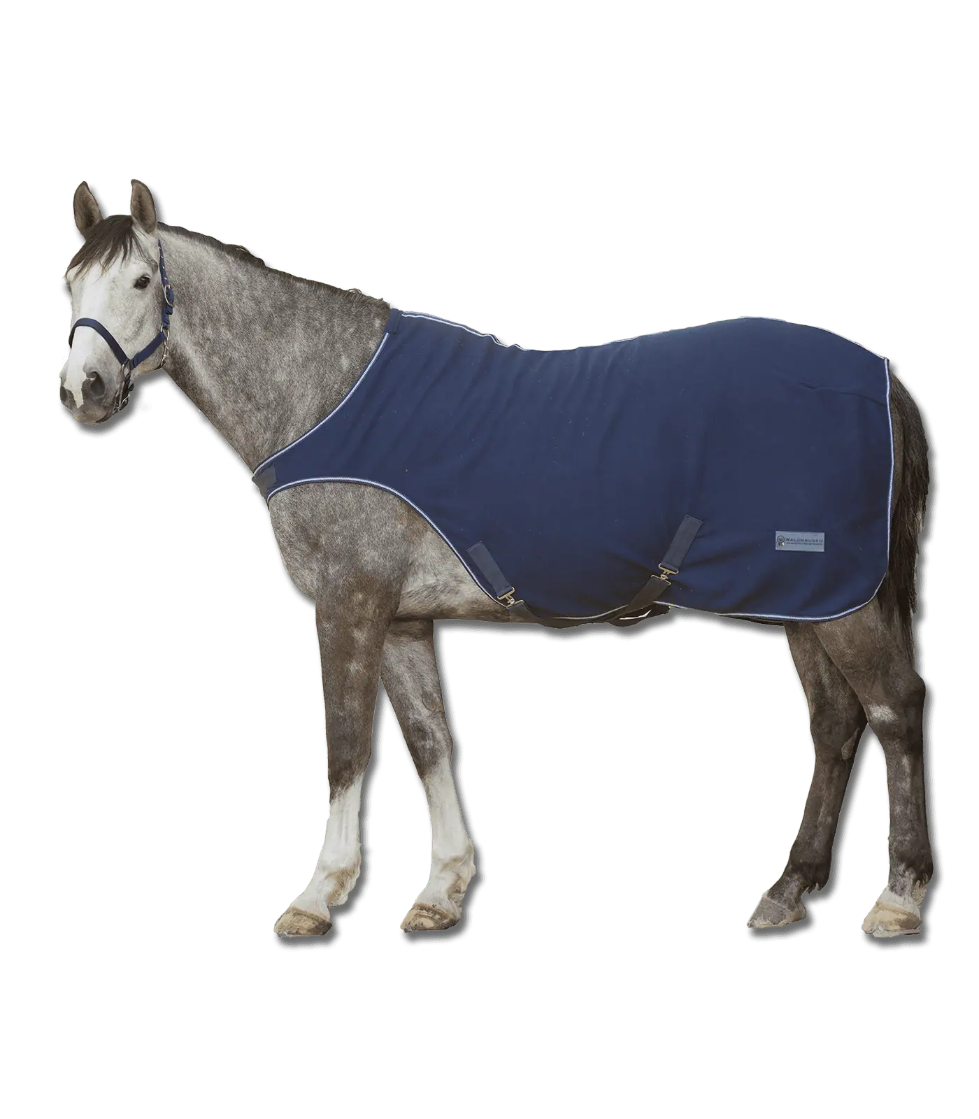 Waldhausen ECONOMIC Fleece-Führmaschinendecke, weich & bewegungsfreundlich, 135 cm