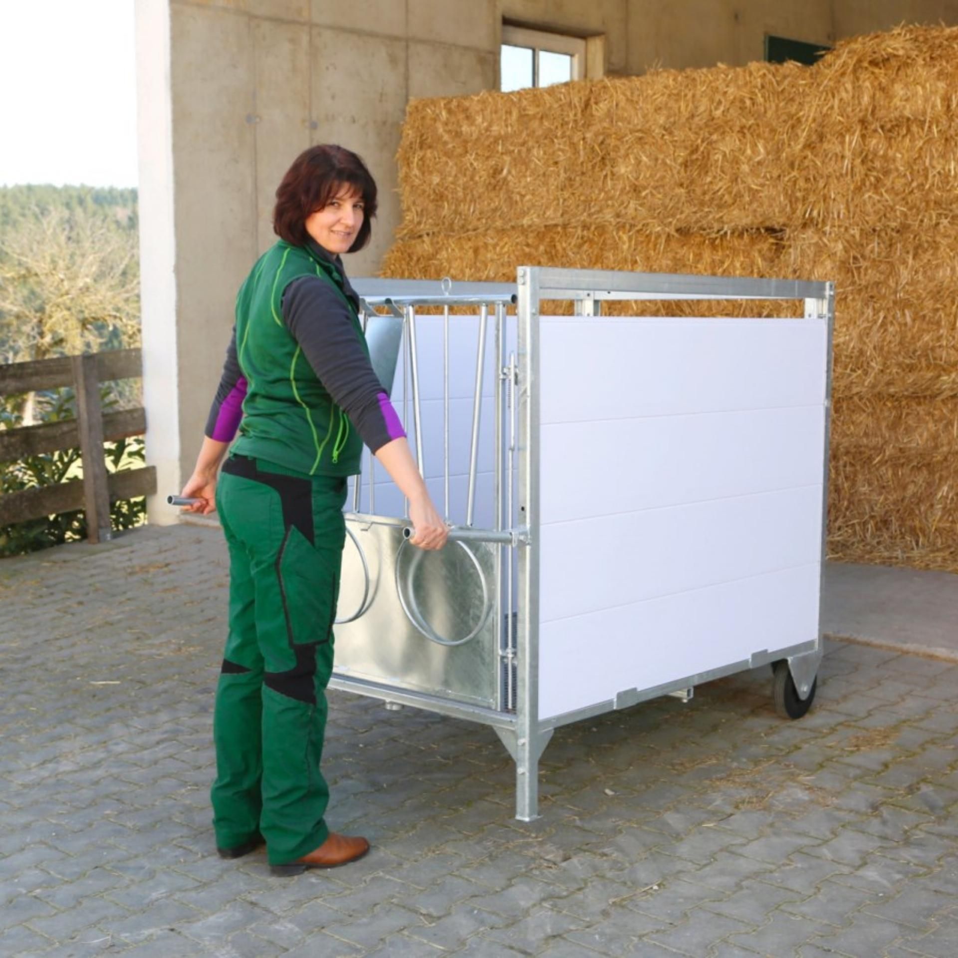Viehtransporter, verzinkt, weiße Platte, Räder, Besitzer mit Pferdezubehör