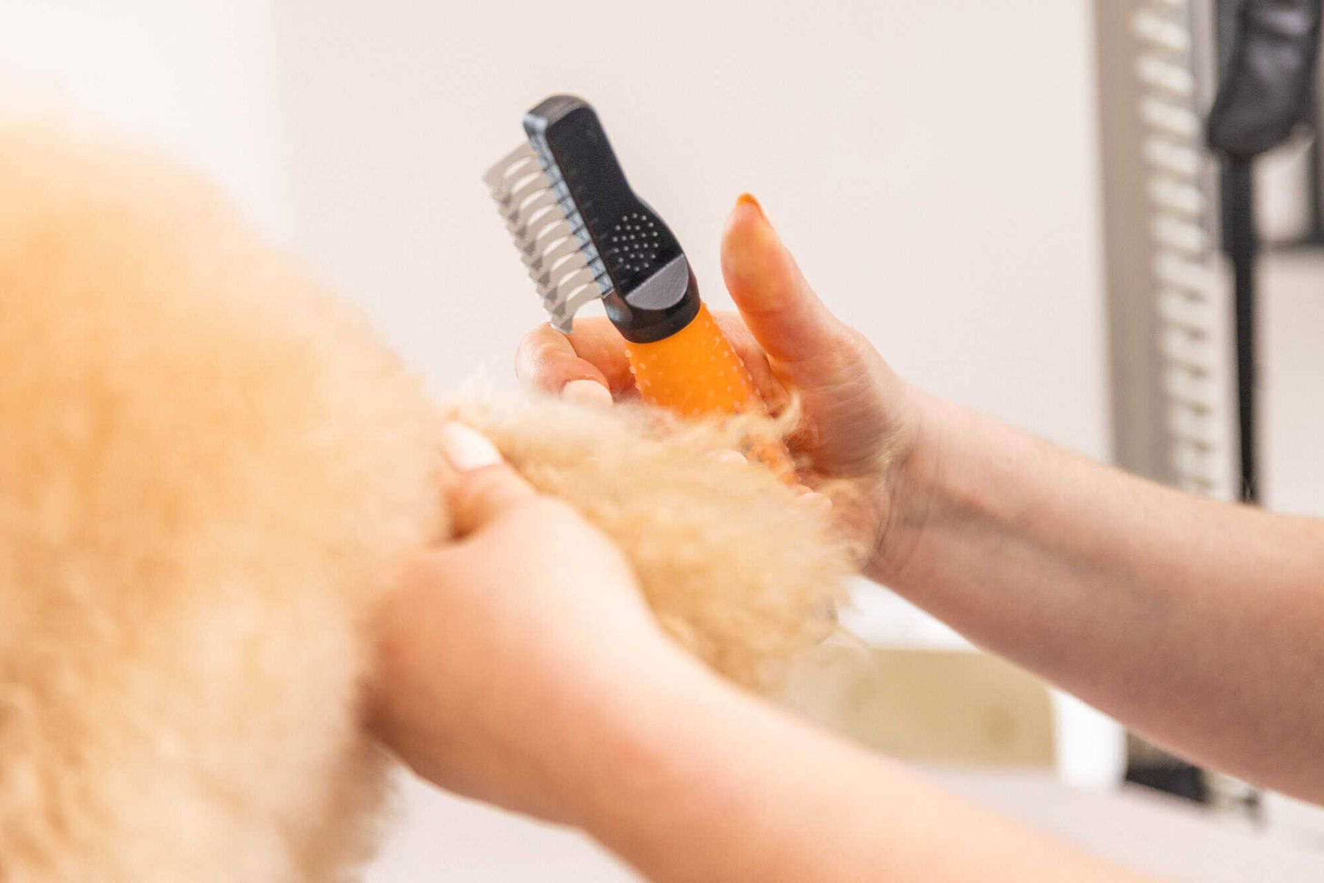 Wahl peigne démêloir chiens contre les nœuds, orange, en utilisation
