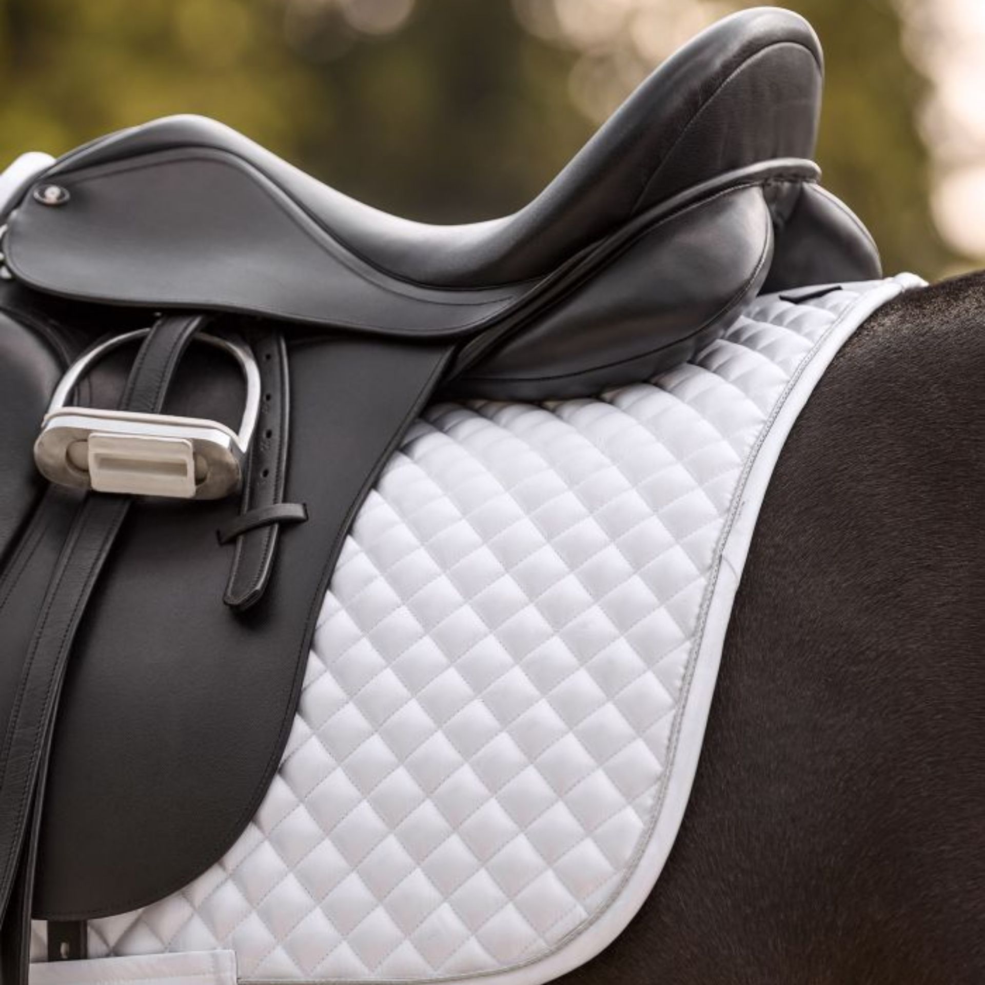 Sattel, Sattelpad, Reitsport, schwarz, gepunktet