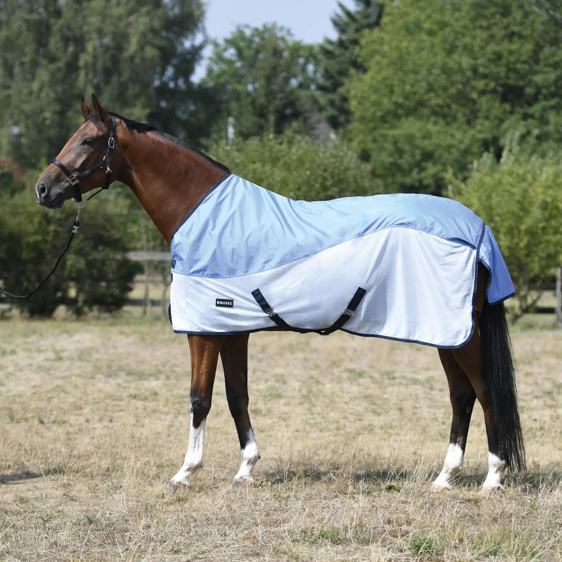 BUSSE Outdoordecke RAINFLY, Regen- & Fliegendecke für Pferde, himmelblau, 135