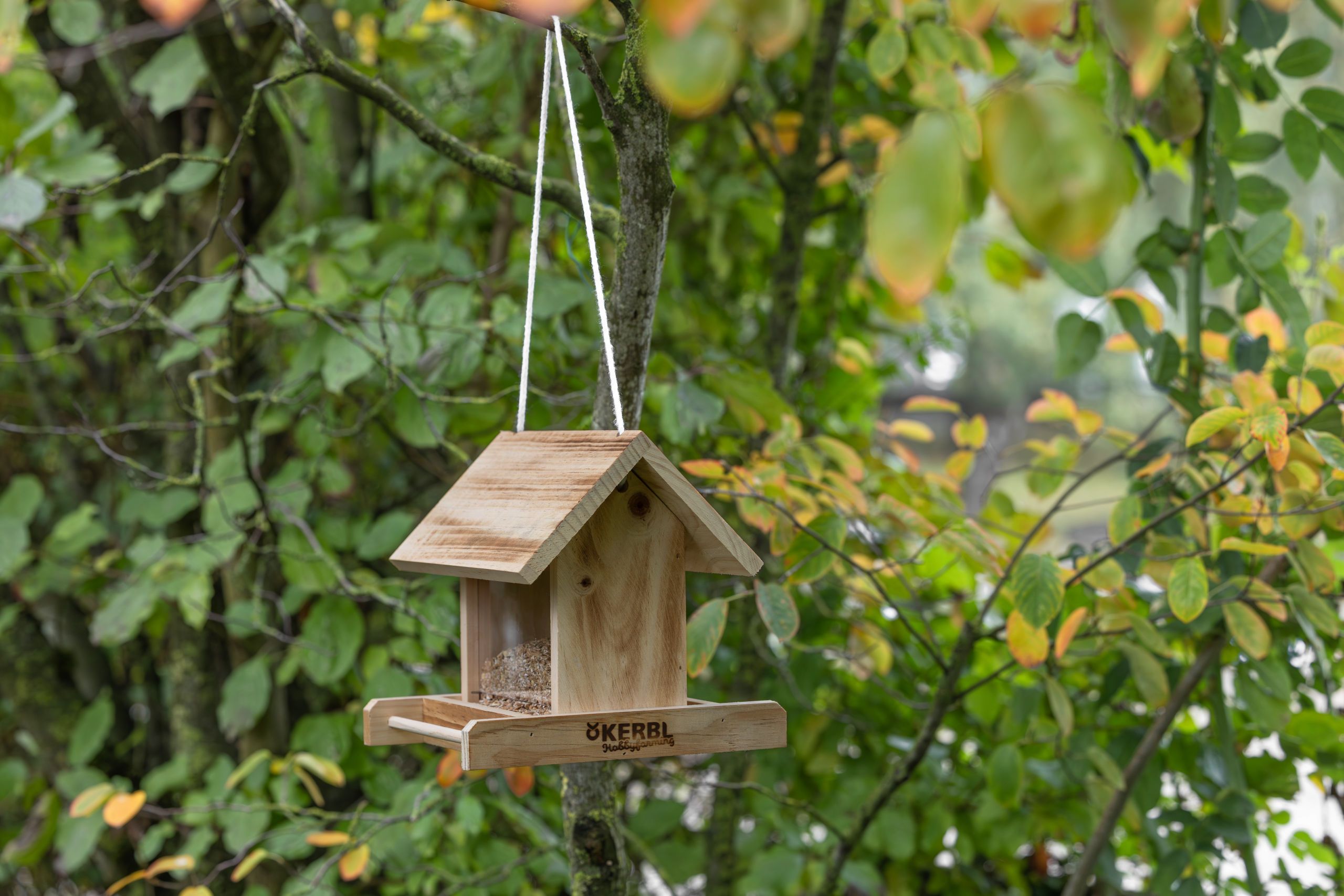 bird feeder, wooden, hanging, garden, nature