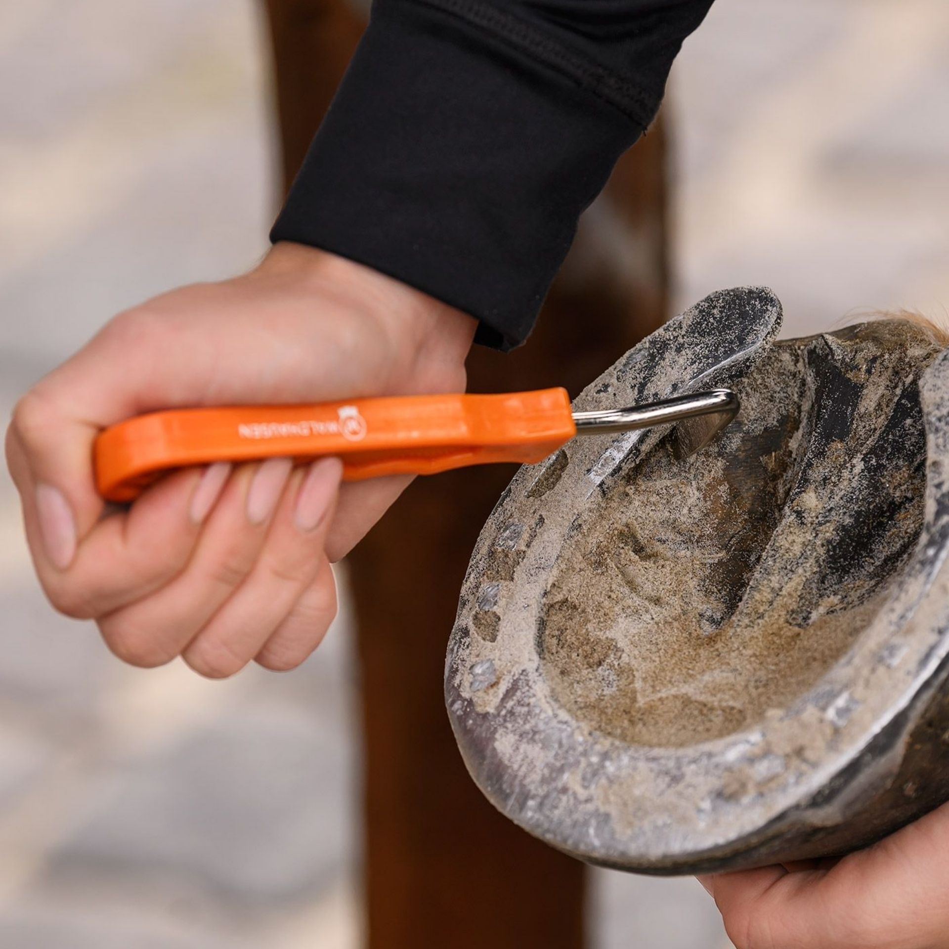 Hufbeschlag, Hufpflege, oranges Werkzeug, Metallhaken, Tackpflege
