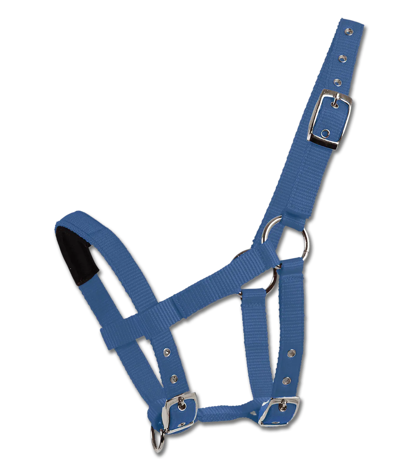Waldhausen Mini-Shetty Halfter, weich gepolstert, verstellbar