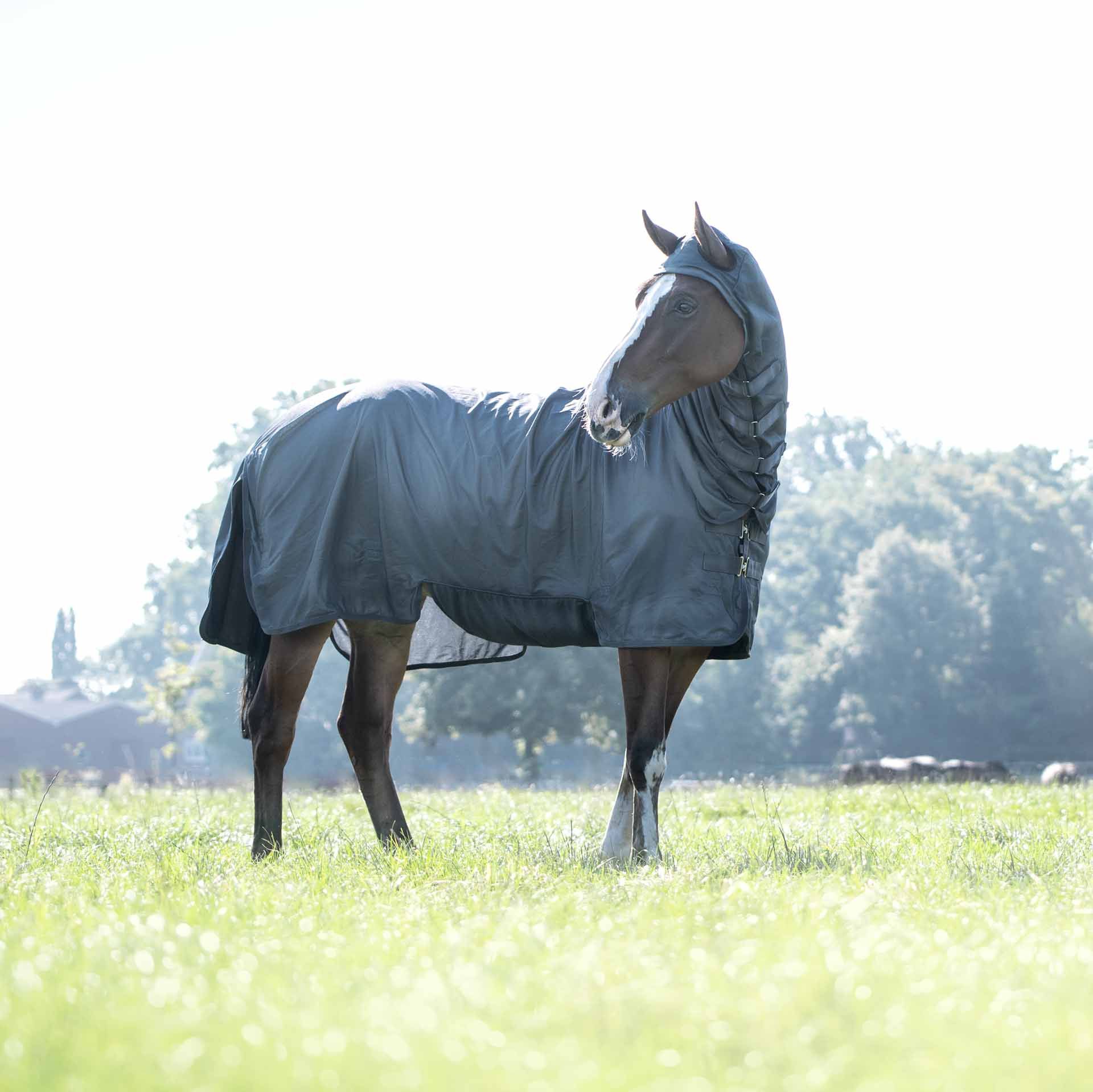 Couverture anti-mouches BUSSE COMPLETE PLUS