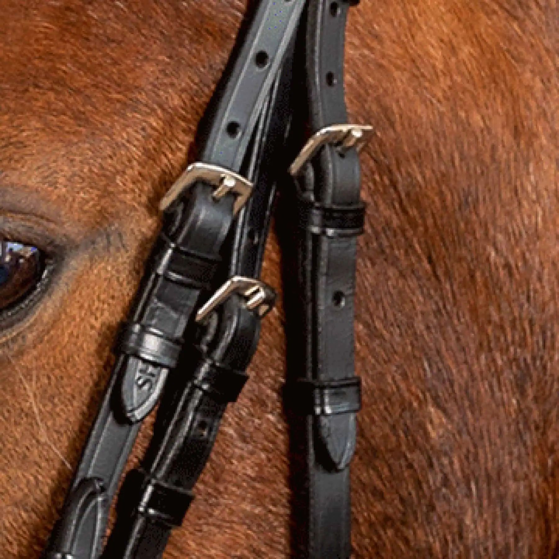 STAR Bridon Pinky, Muserolle combinée pour Poney & Shetland, Pony