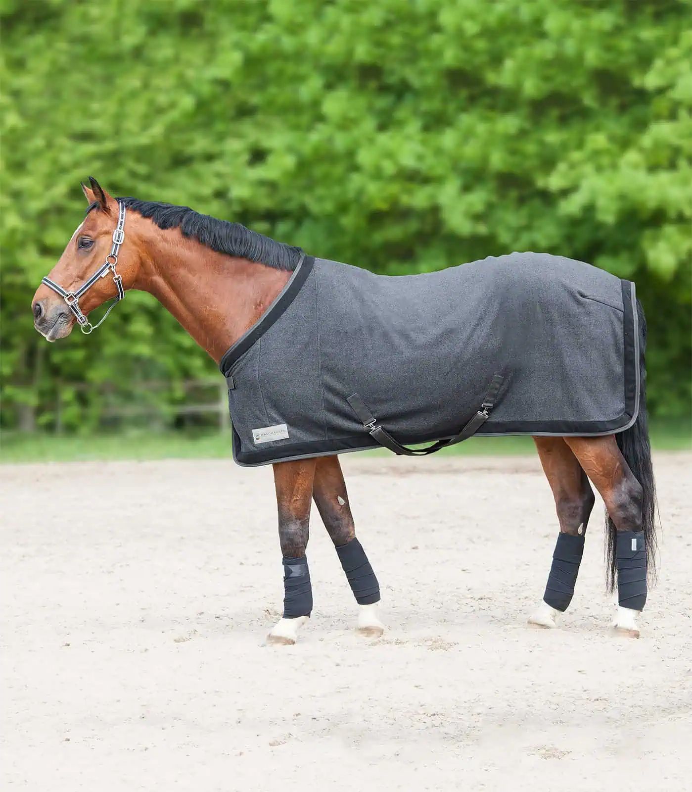 Waldhausen COMFORT Couverture Polaire Esperia Two, Séchante, magnet/noir 125 cm