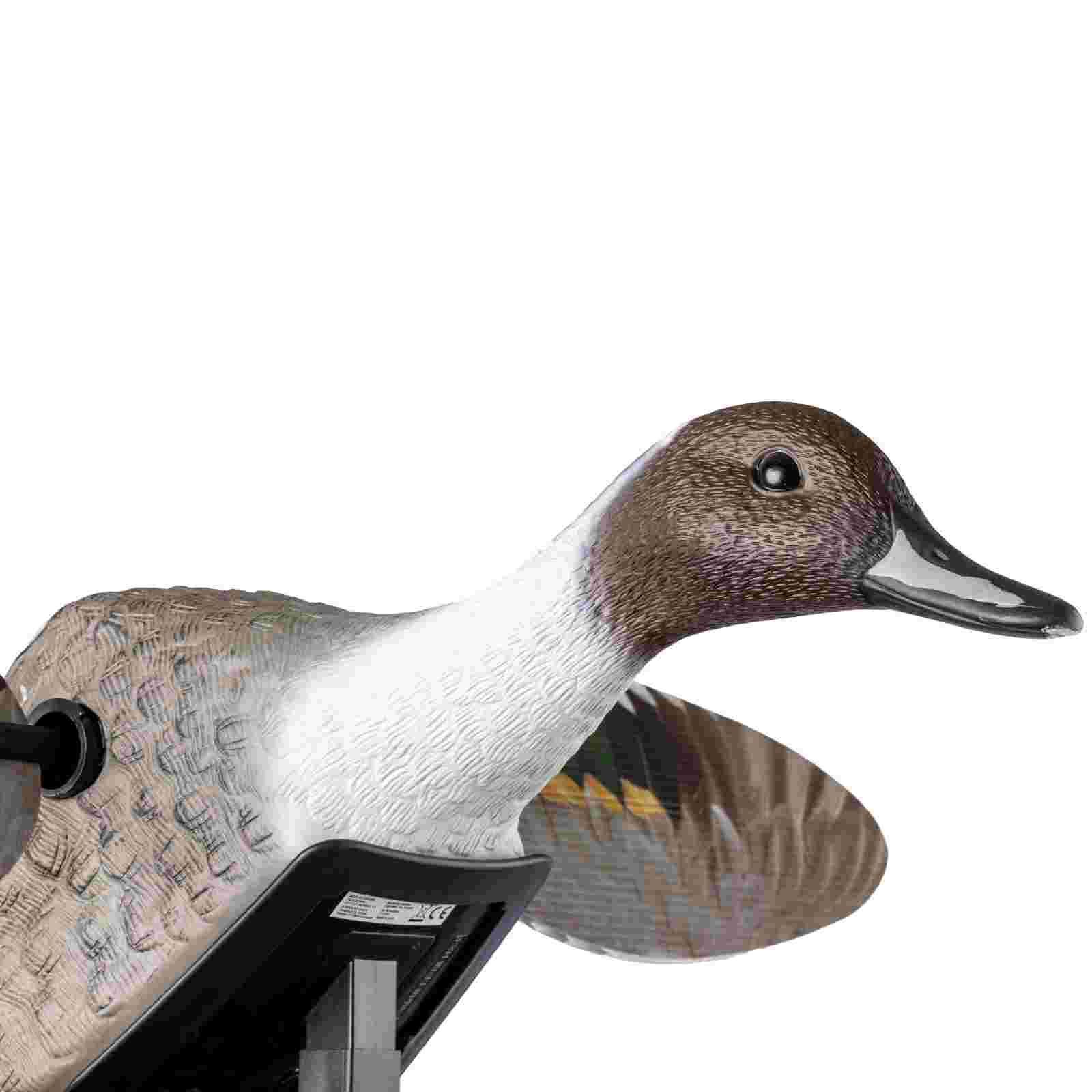 Mojo ES Pintail Vogelattrappe, Detailansicht