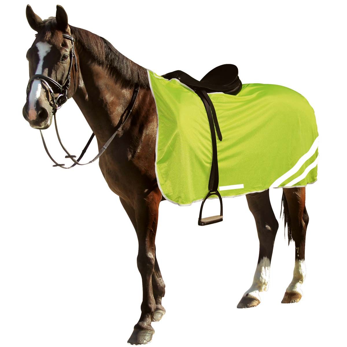 Covalliero coperta riflettente cavallo Reflex giallo neon, in uso