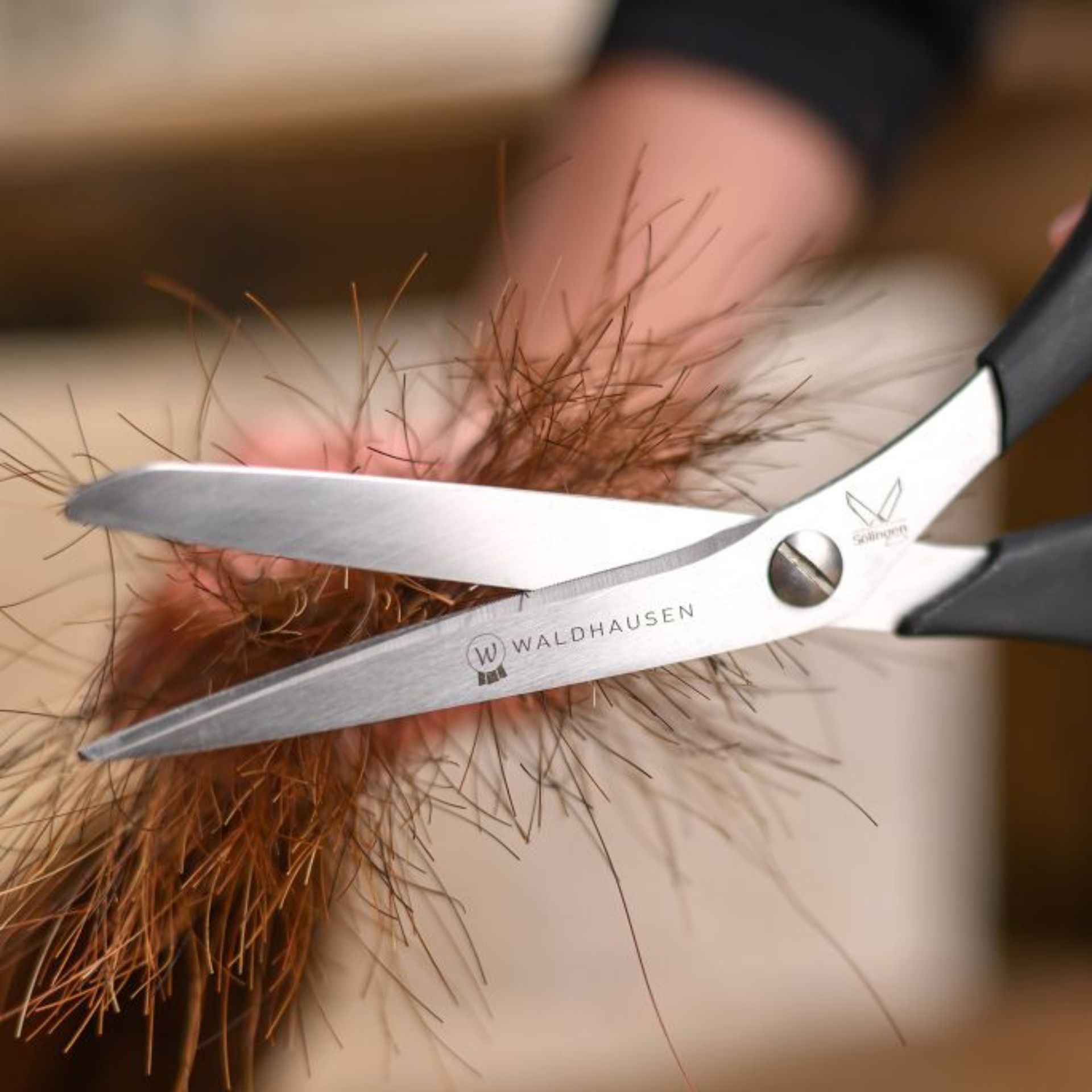 scissors, hair trimming, shears, haircut tool, kitchen shears?