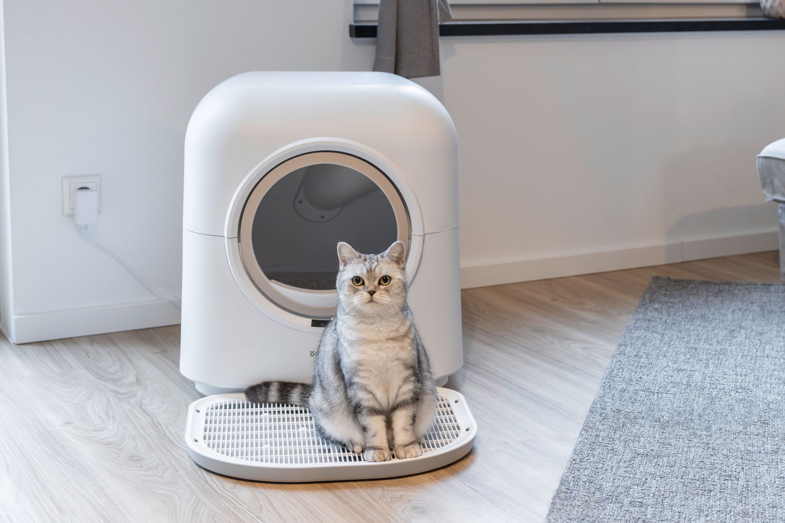 Kerbl Katzentoilette Smart selbstreinigend mit App, 54 x 54 cm