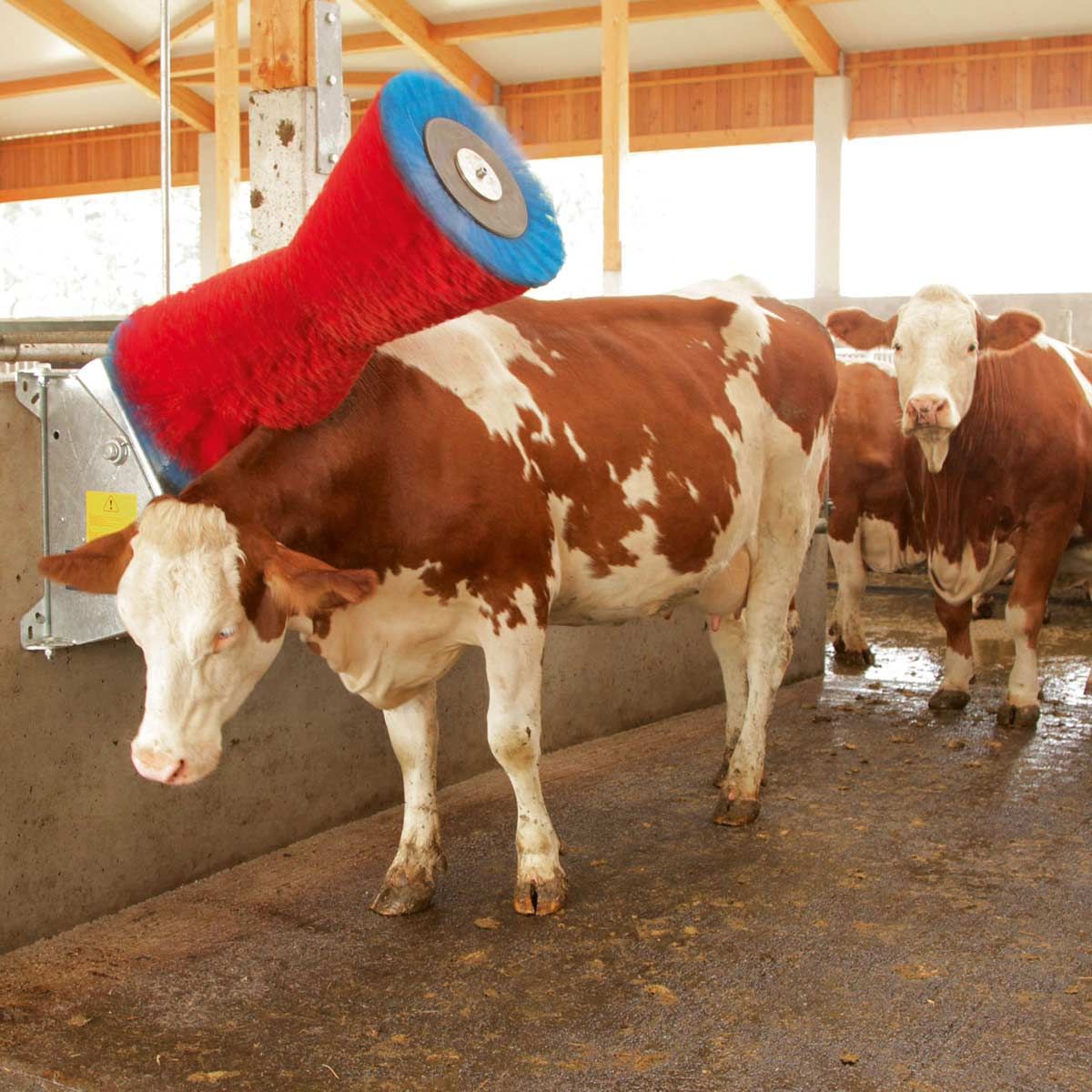 Kerbl Brosse à vaches HAPPYCOW Uno, machine électrique, poils PA