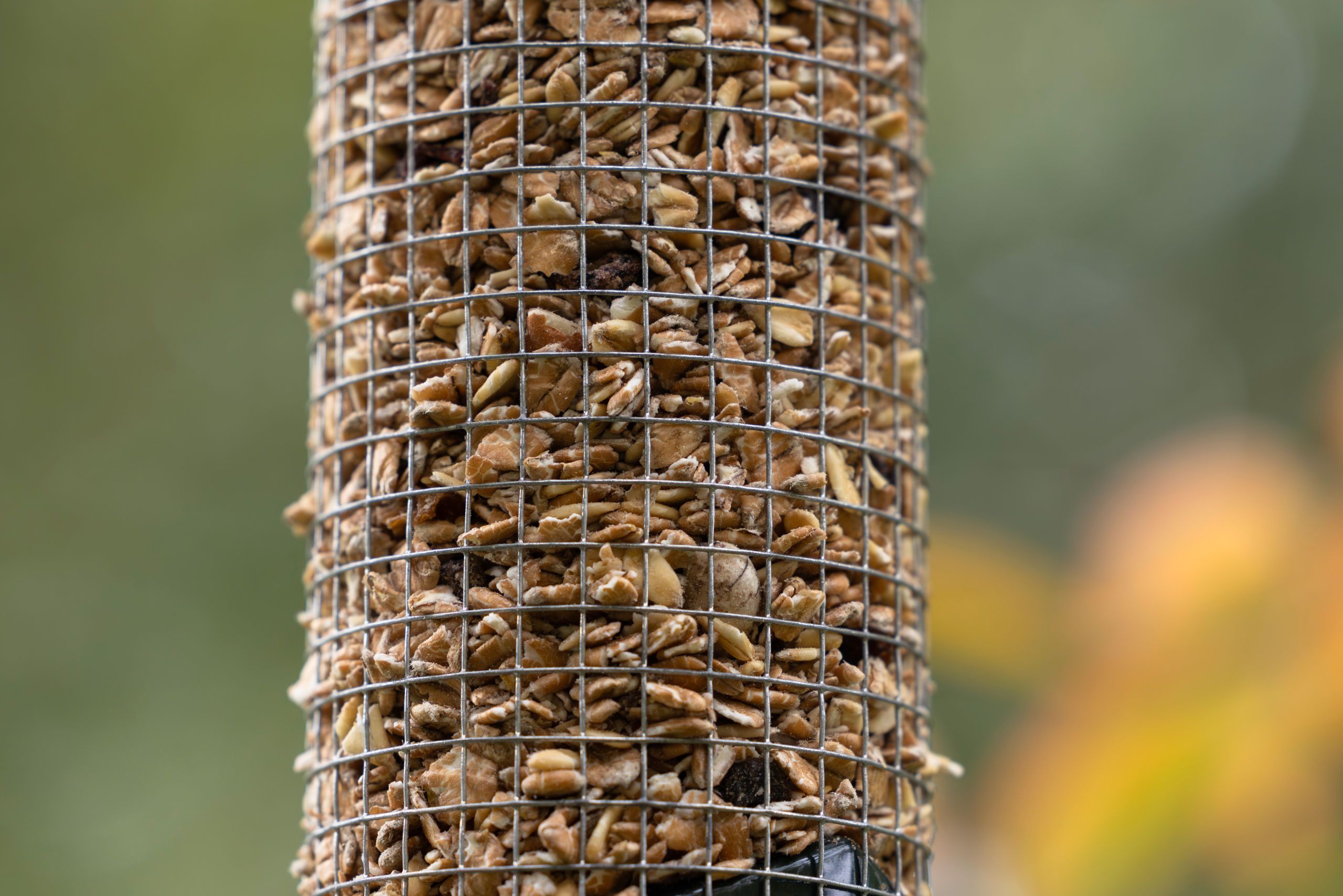 birdseed, granules, grains, mesh, silo