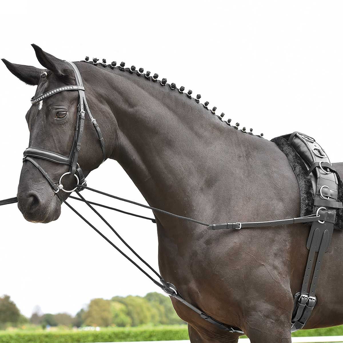 BUSSE Corde de base de la bride triangulaire