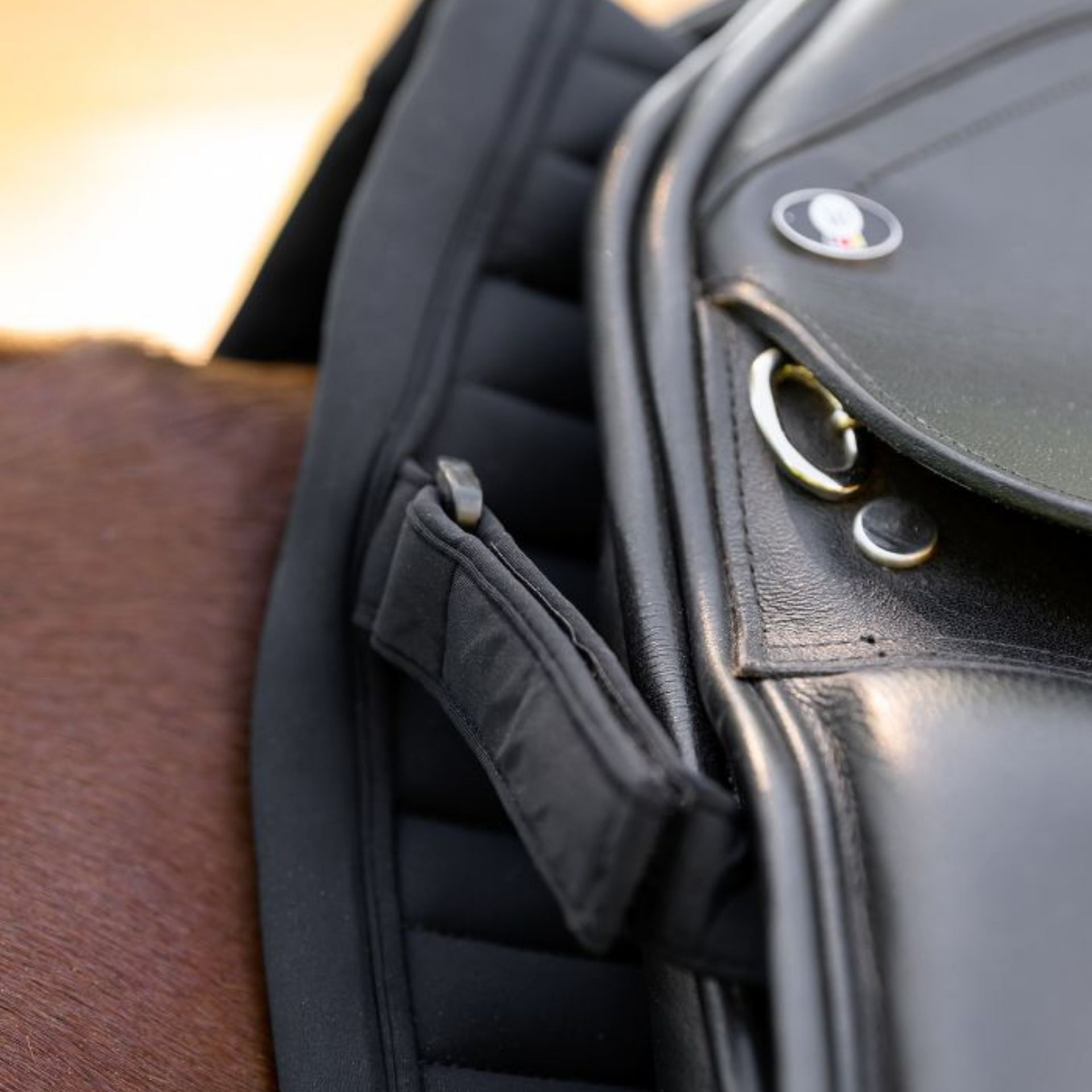 backpack, leather, black, strap, pocket