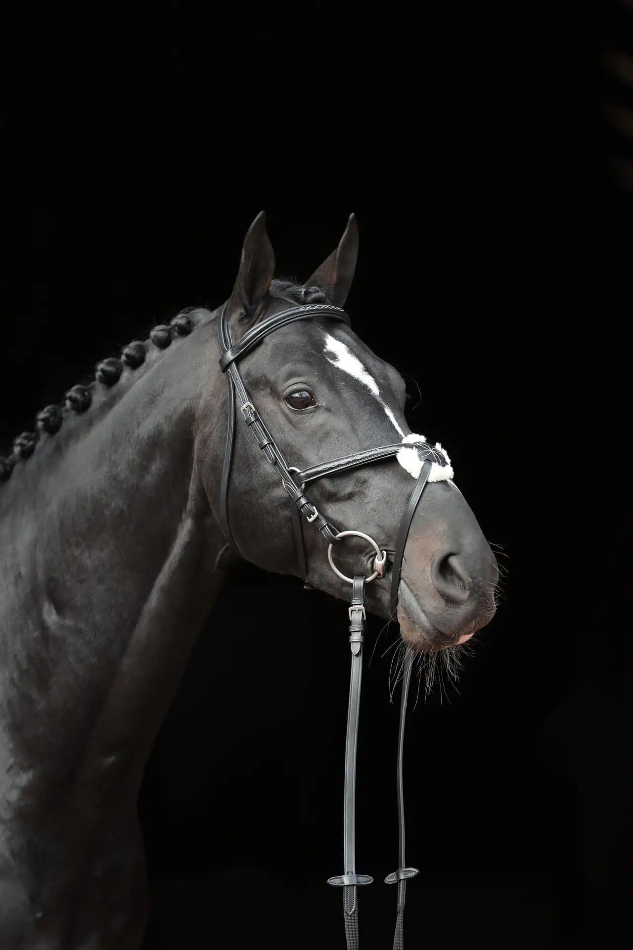 Bridon Cancun Covalliero, muserolle mexicaine, cuir noir, Pony